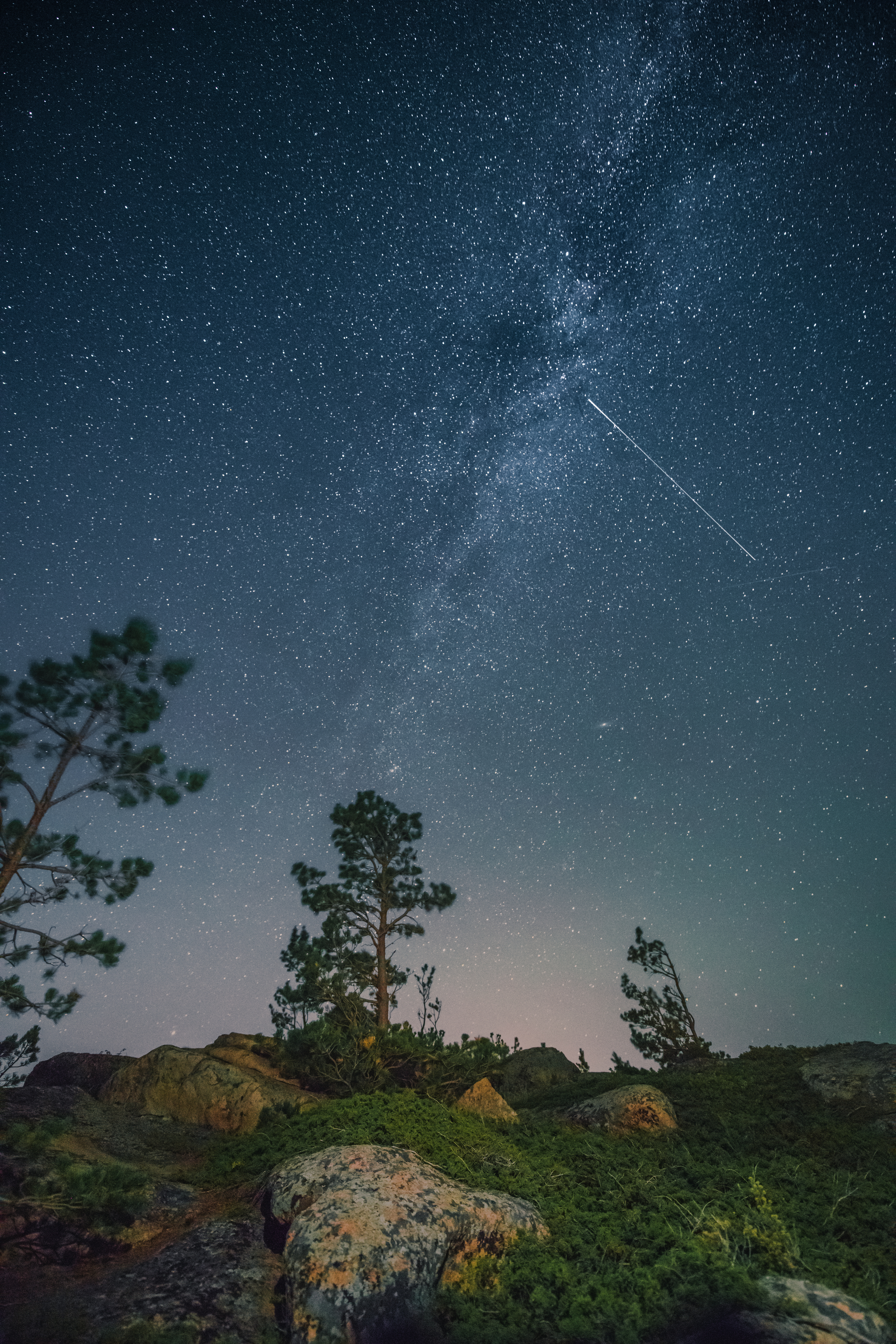 звезды, лес, камни, алтай, ночное небо, ночь, Denis Koshkin