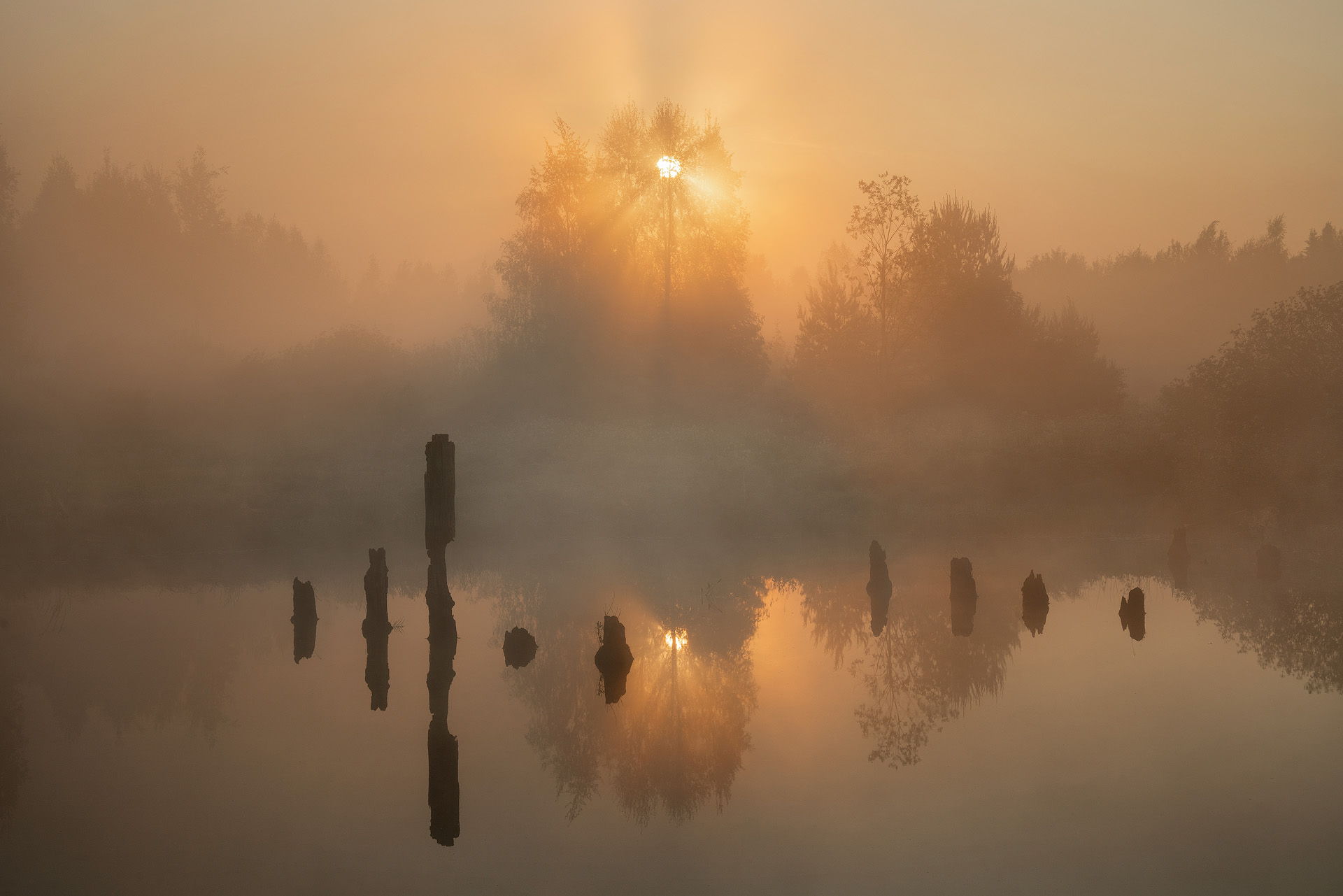 суздаль, золотое кольцо, русский, город, старина, история, россия, Нерозя Александр