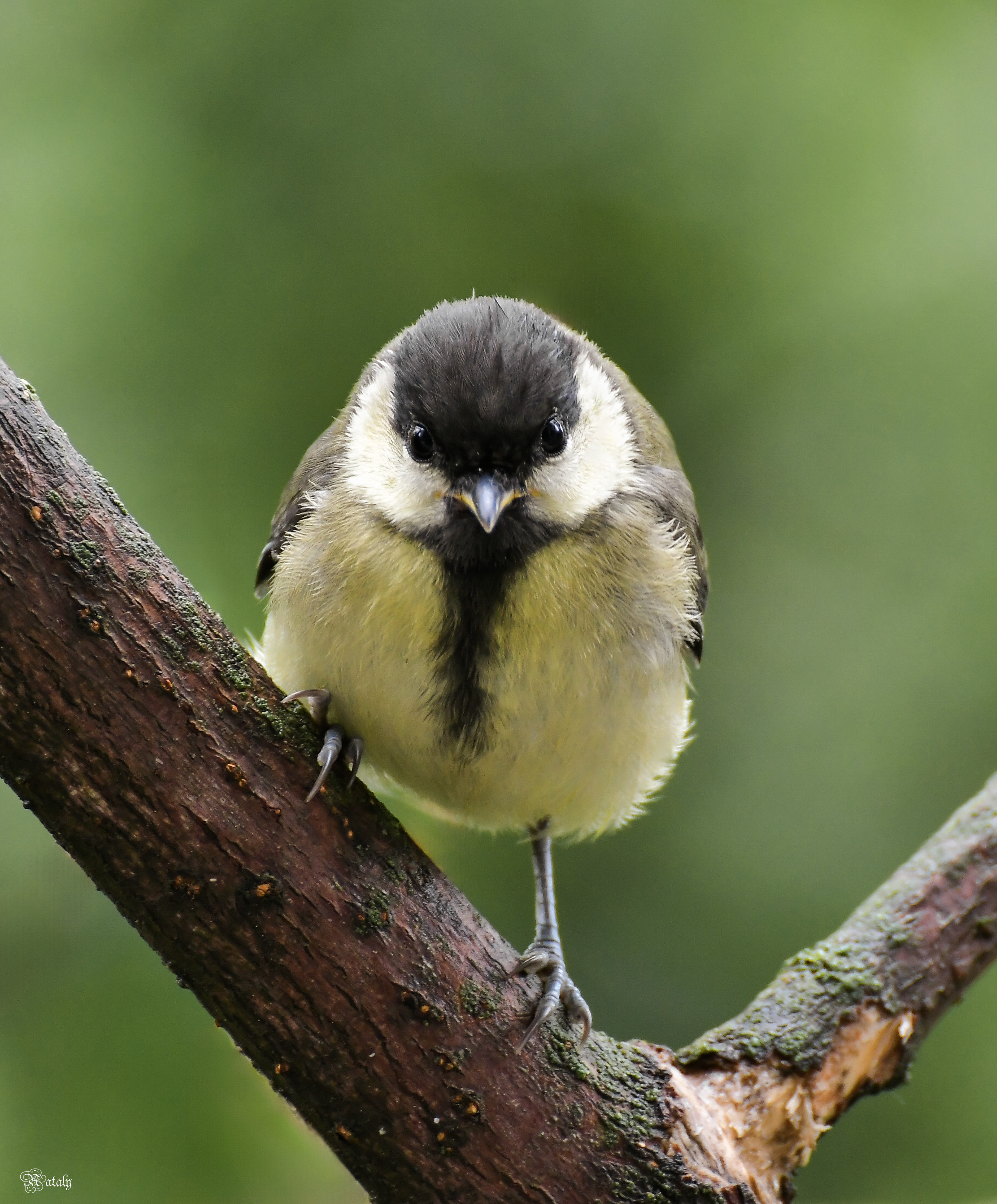 , Наталья Екимова