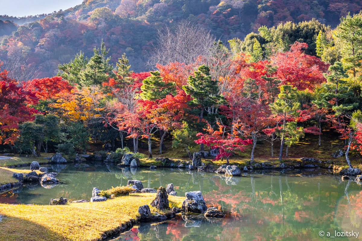 , Лозицкий Александр