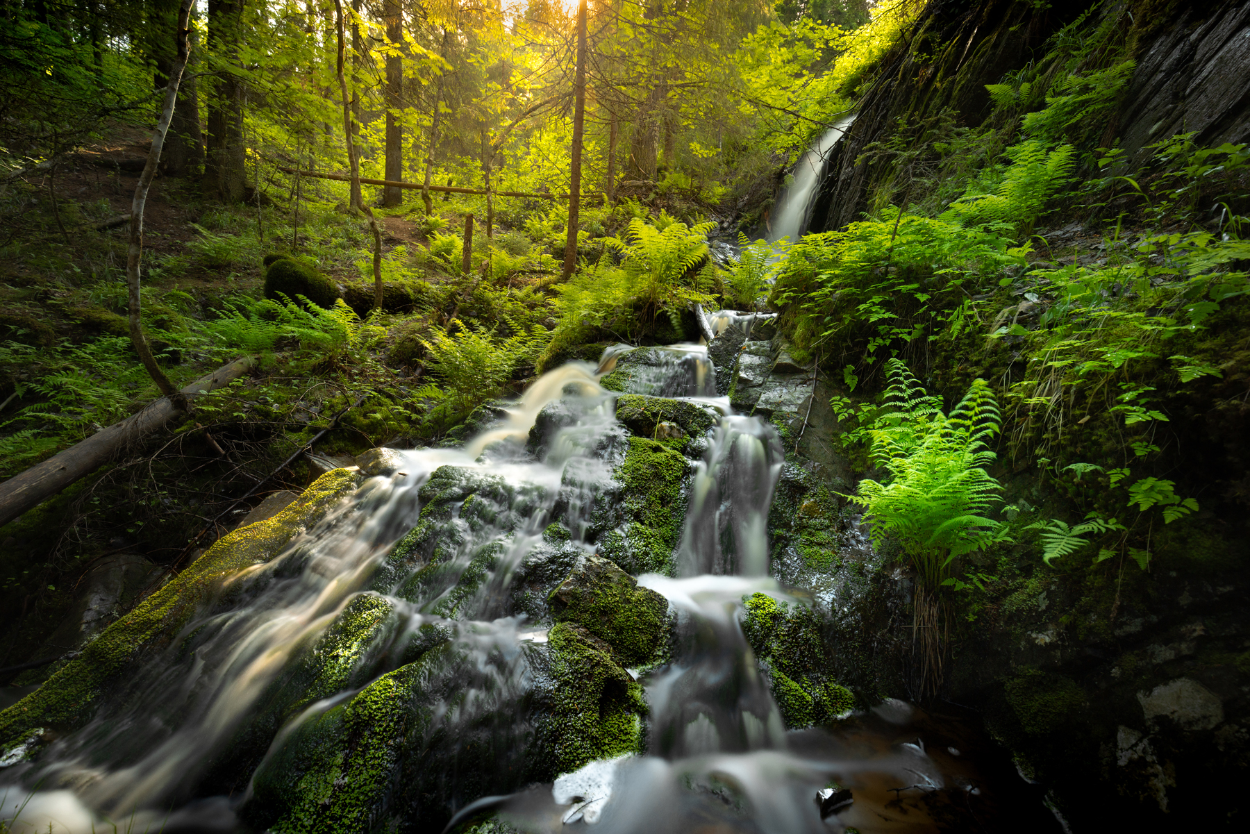 , Вячеслав Мельников