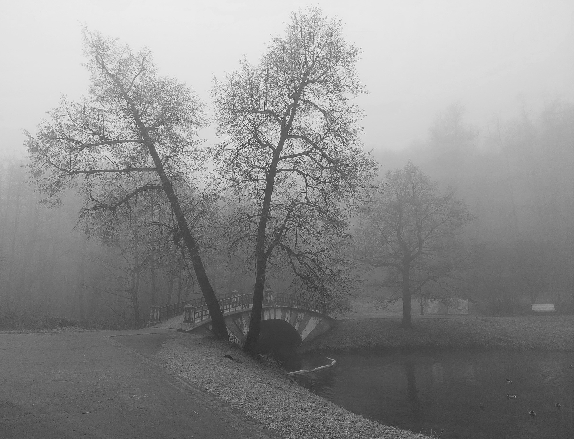 , Vladimir Bragilevsky