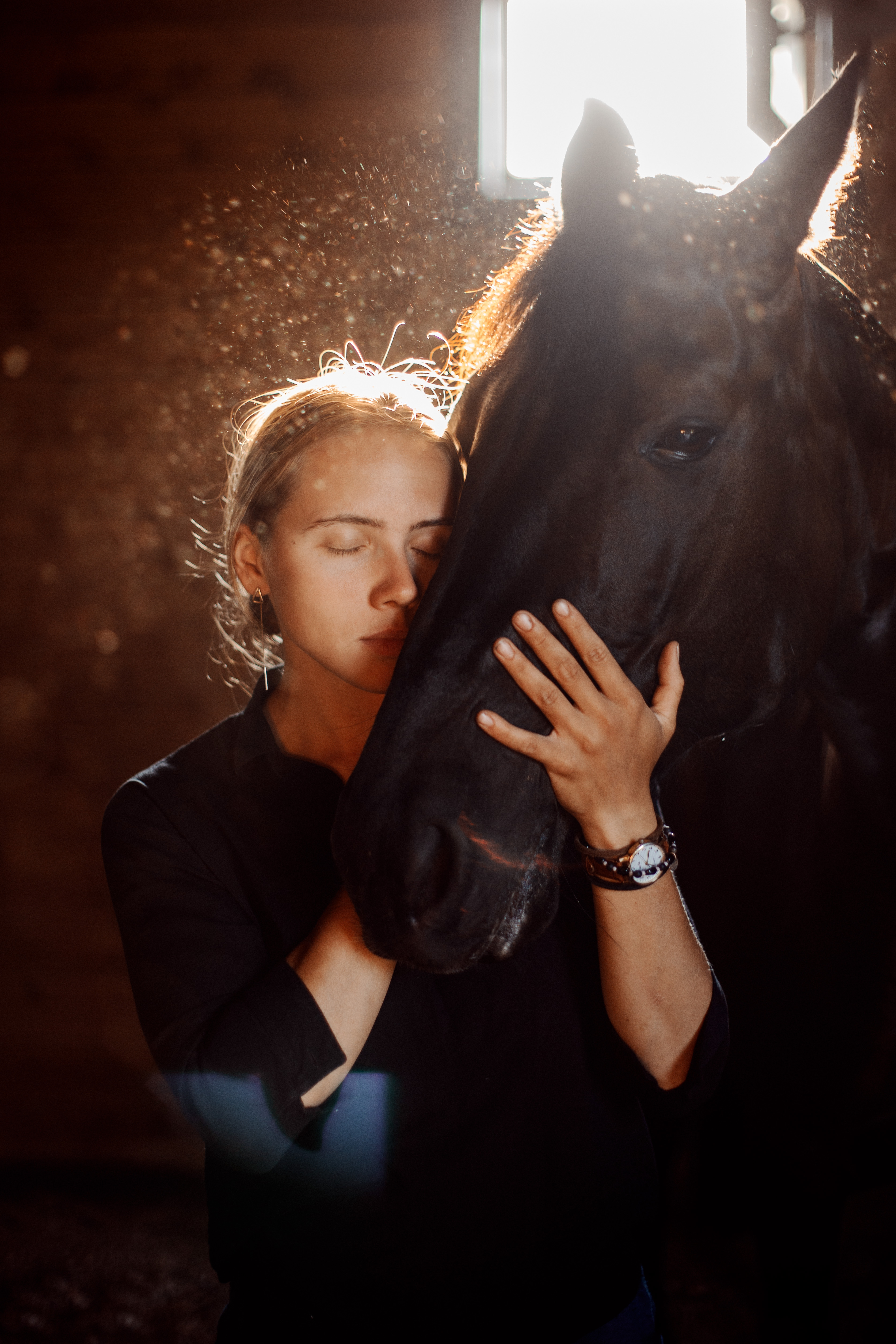 , Дмитрий Плеханов