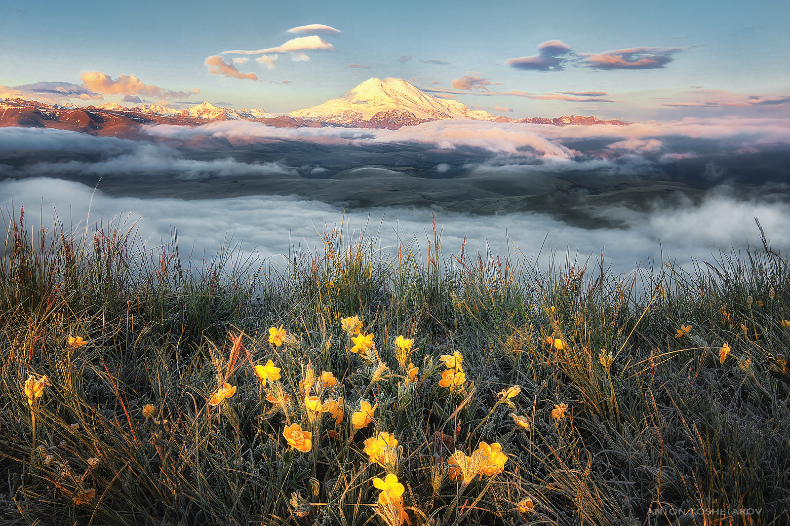 , Антон Кошетаров