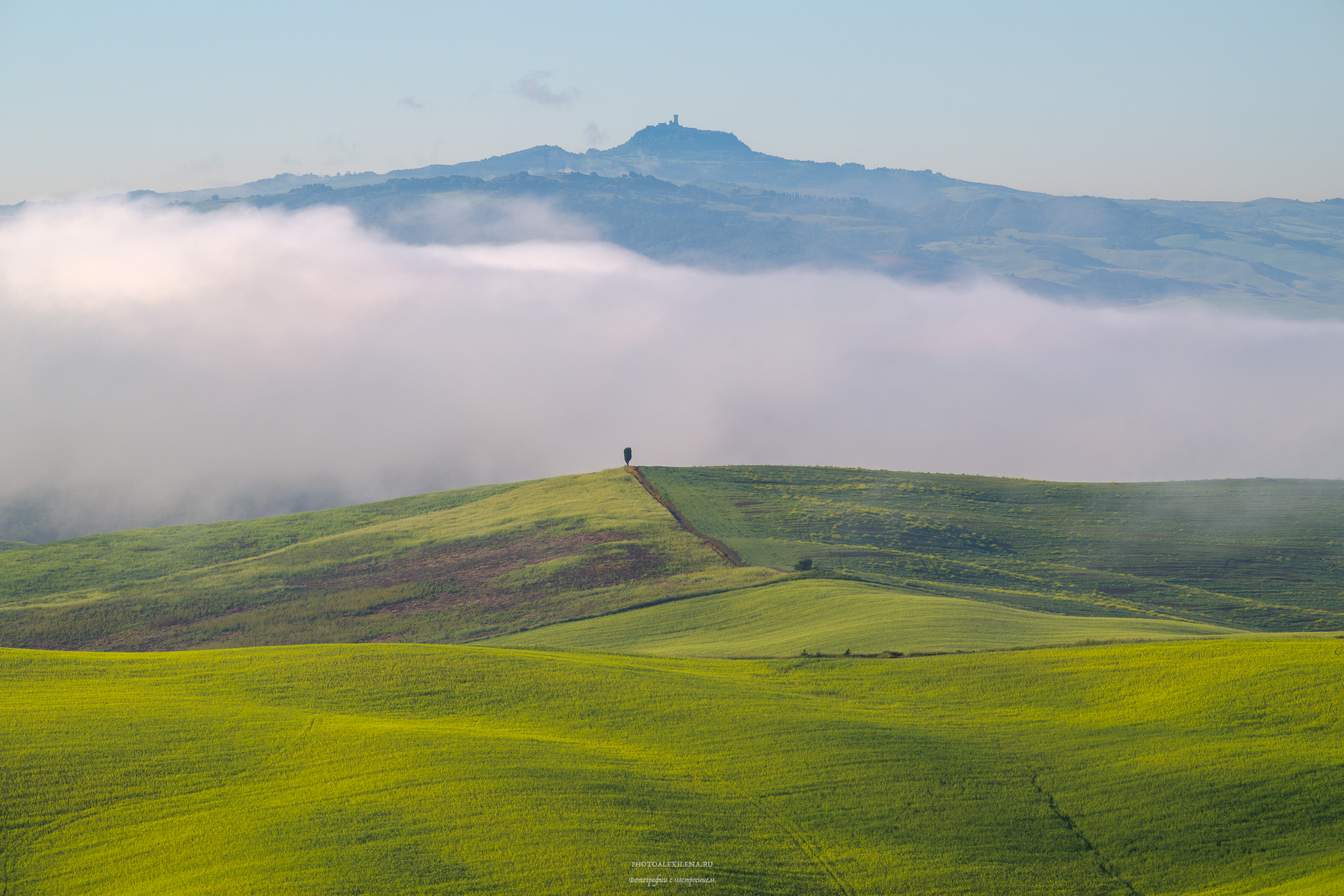 италия, тоскана, val d’orcia, пейзаж, утро, туман, кипарис, Александр Константинов