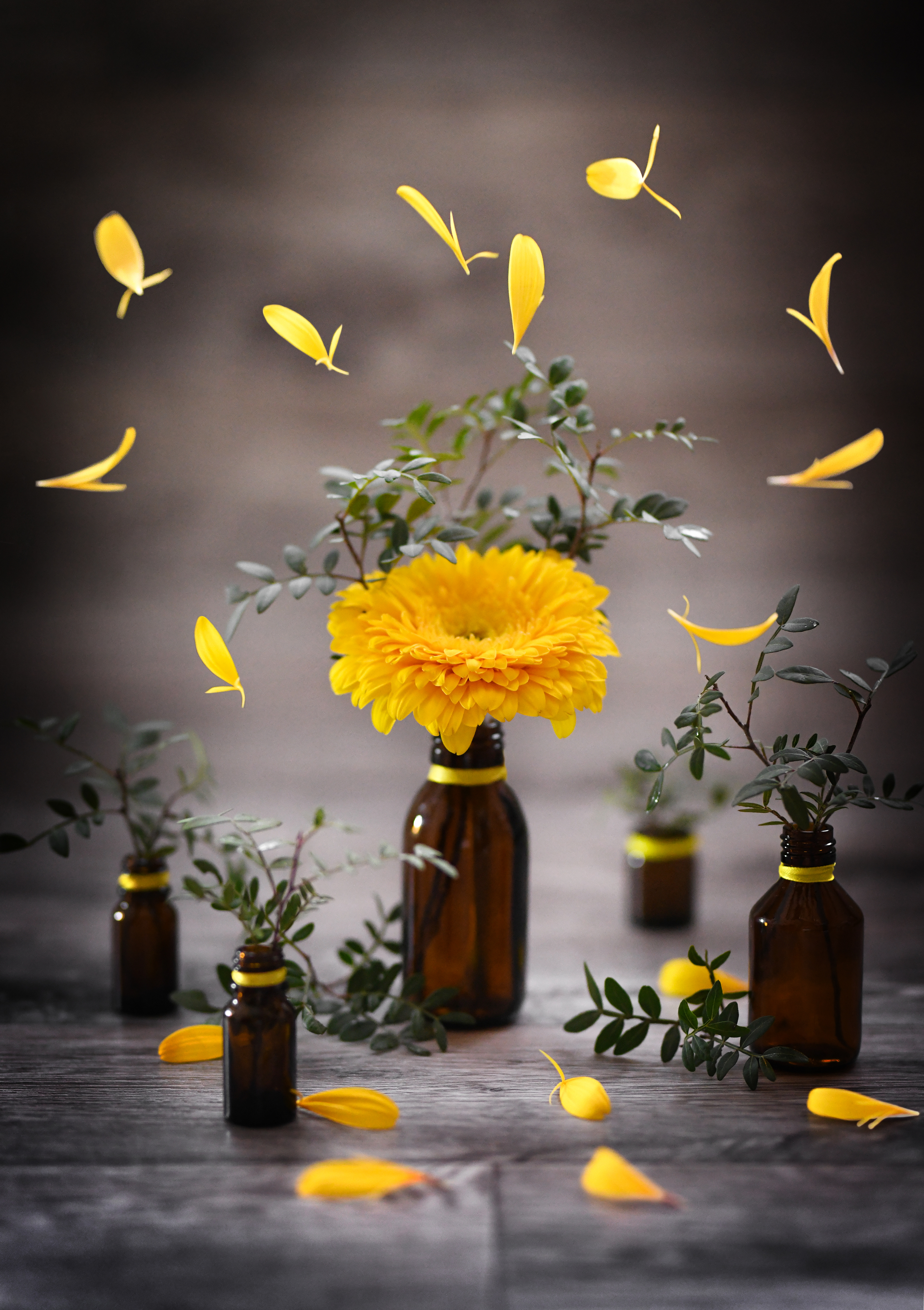 , Анна Штабель