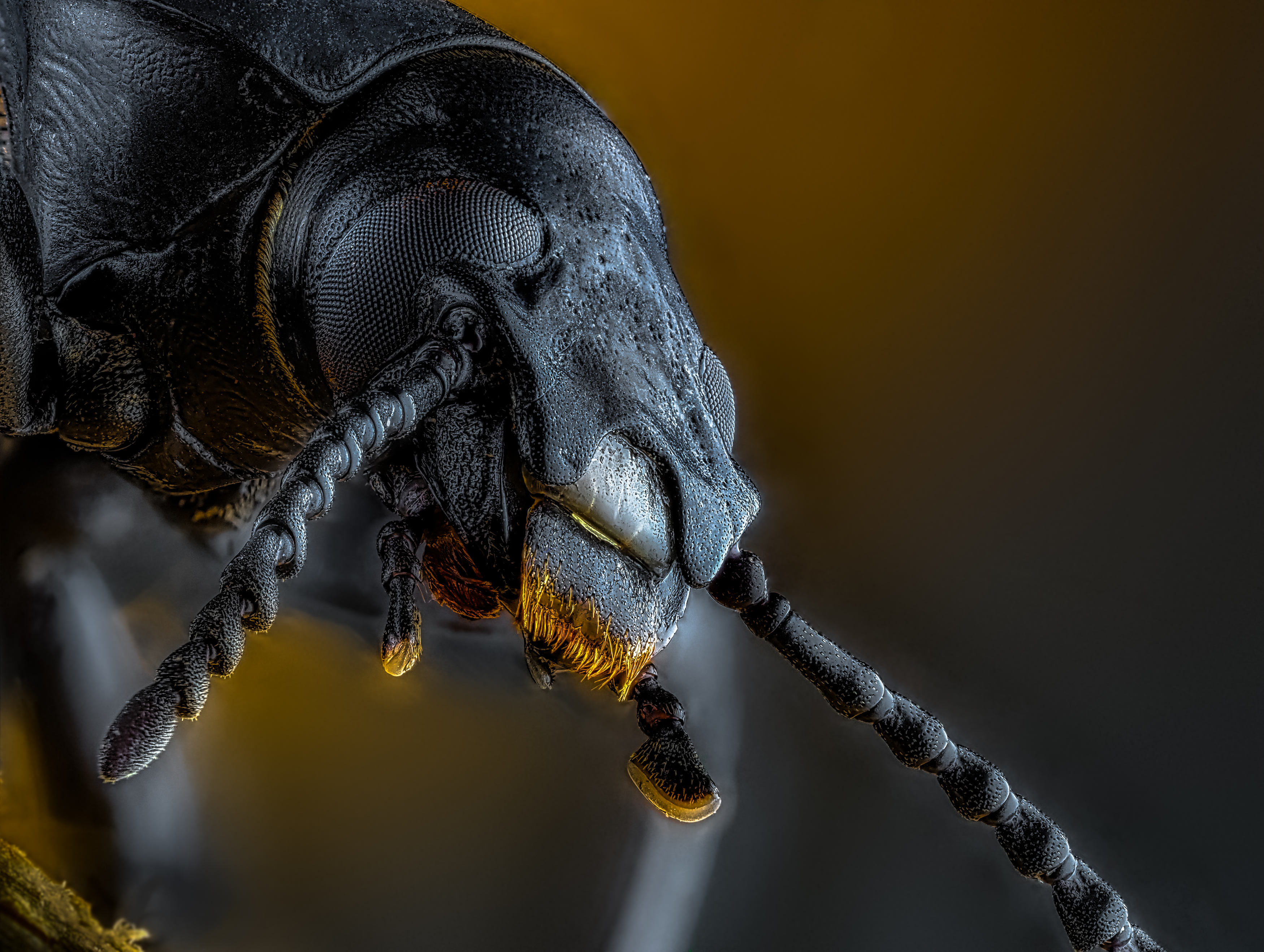 , Олег Савицкий