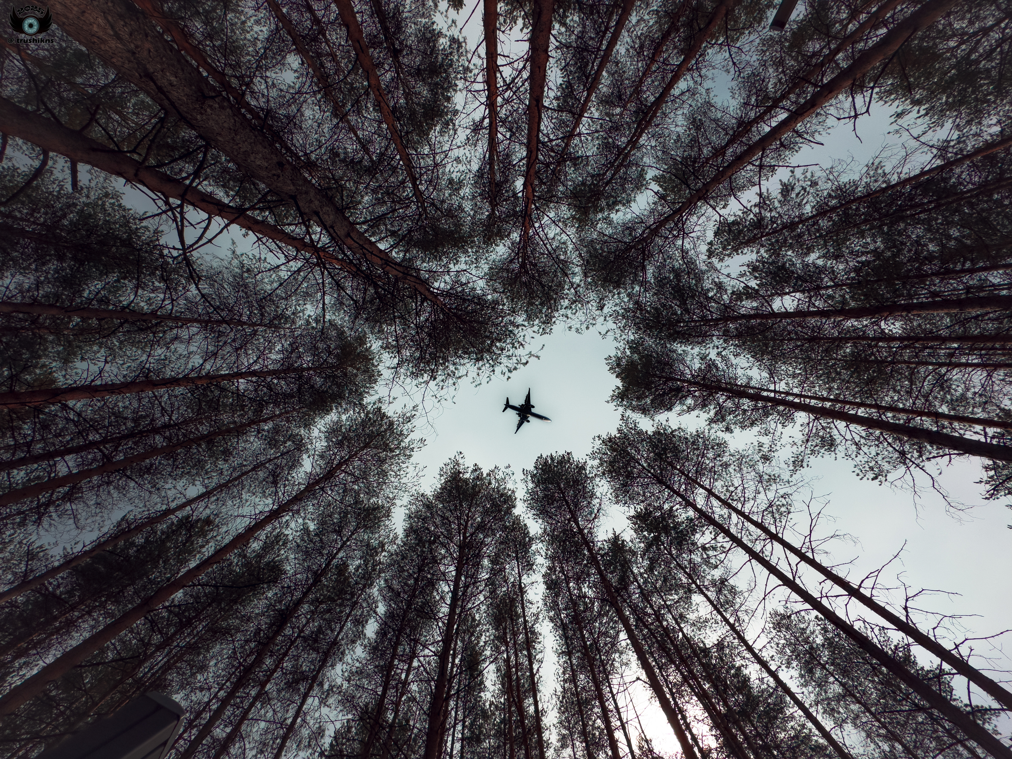 , Vladislav Trushkov