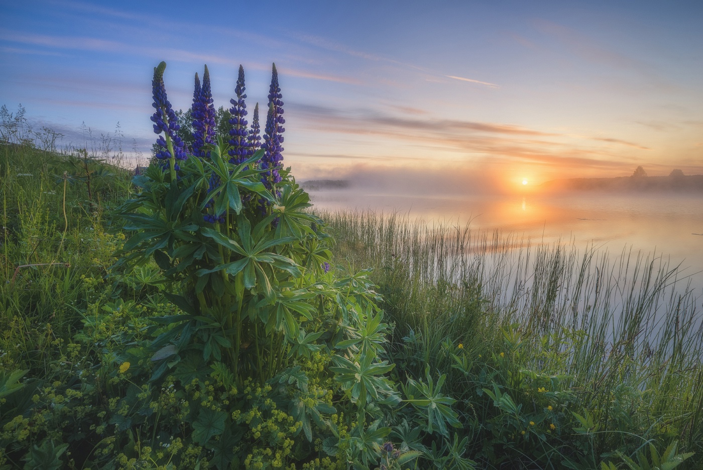 , Михаил Устюжанин