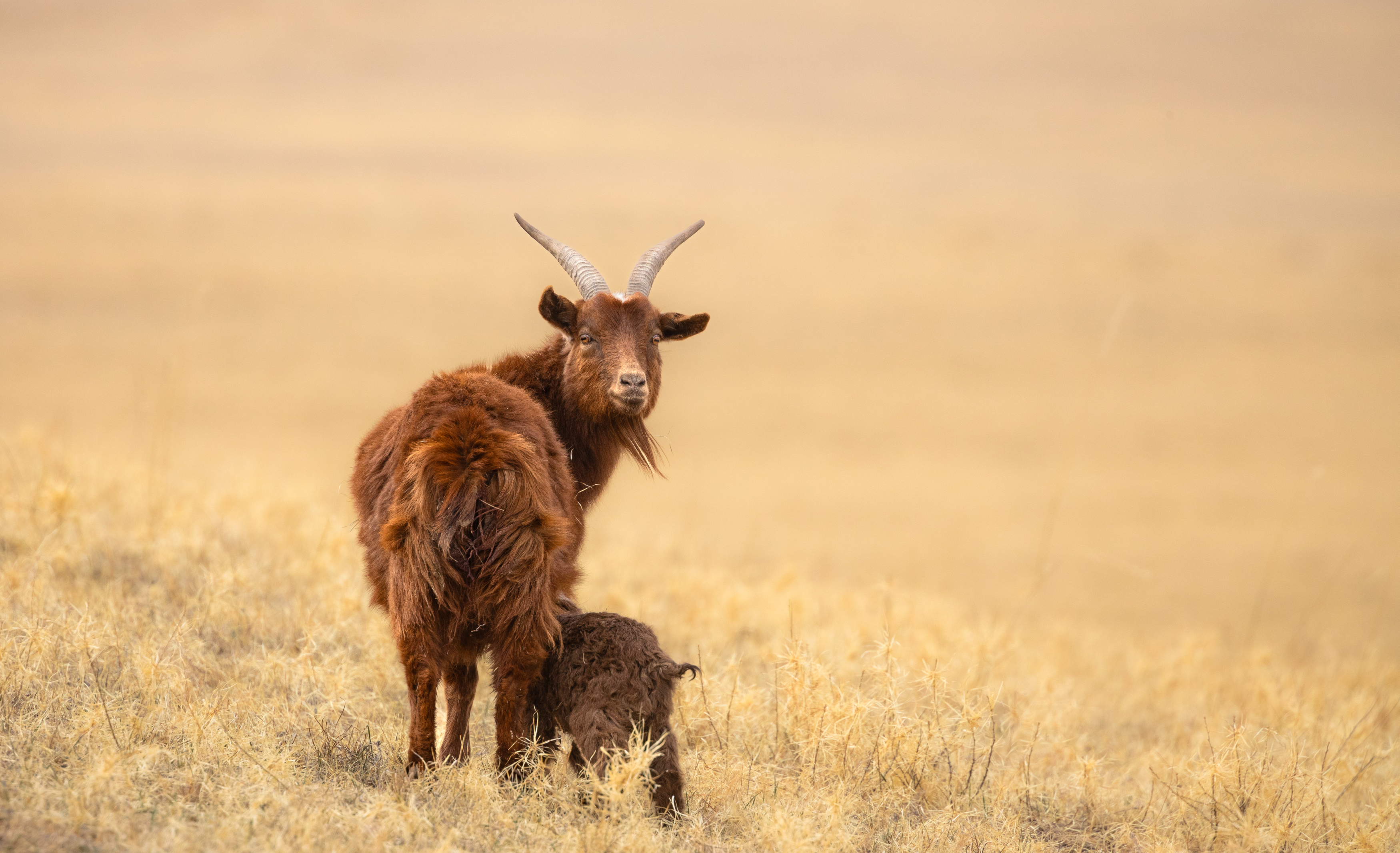 , Веревченко Михаил