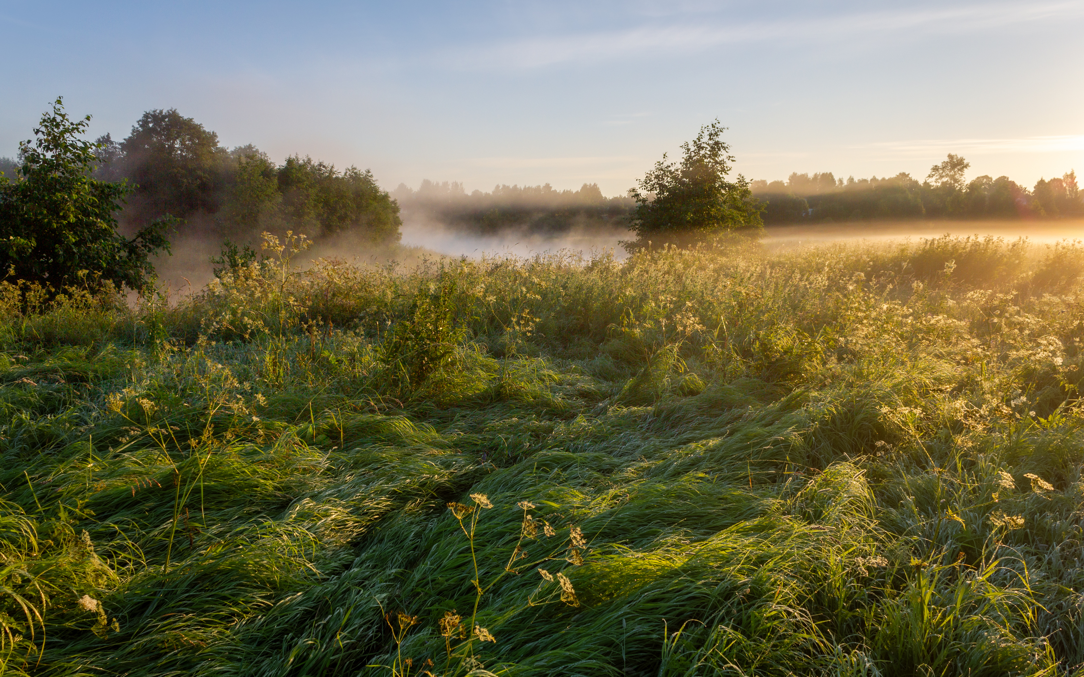 , Комарова Вера