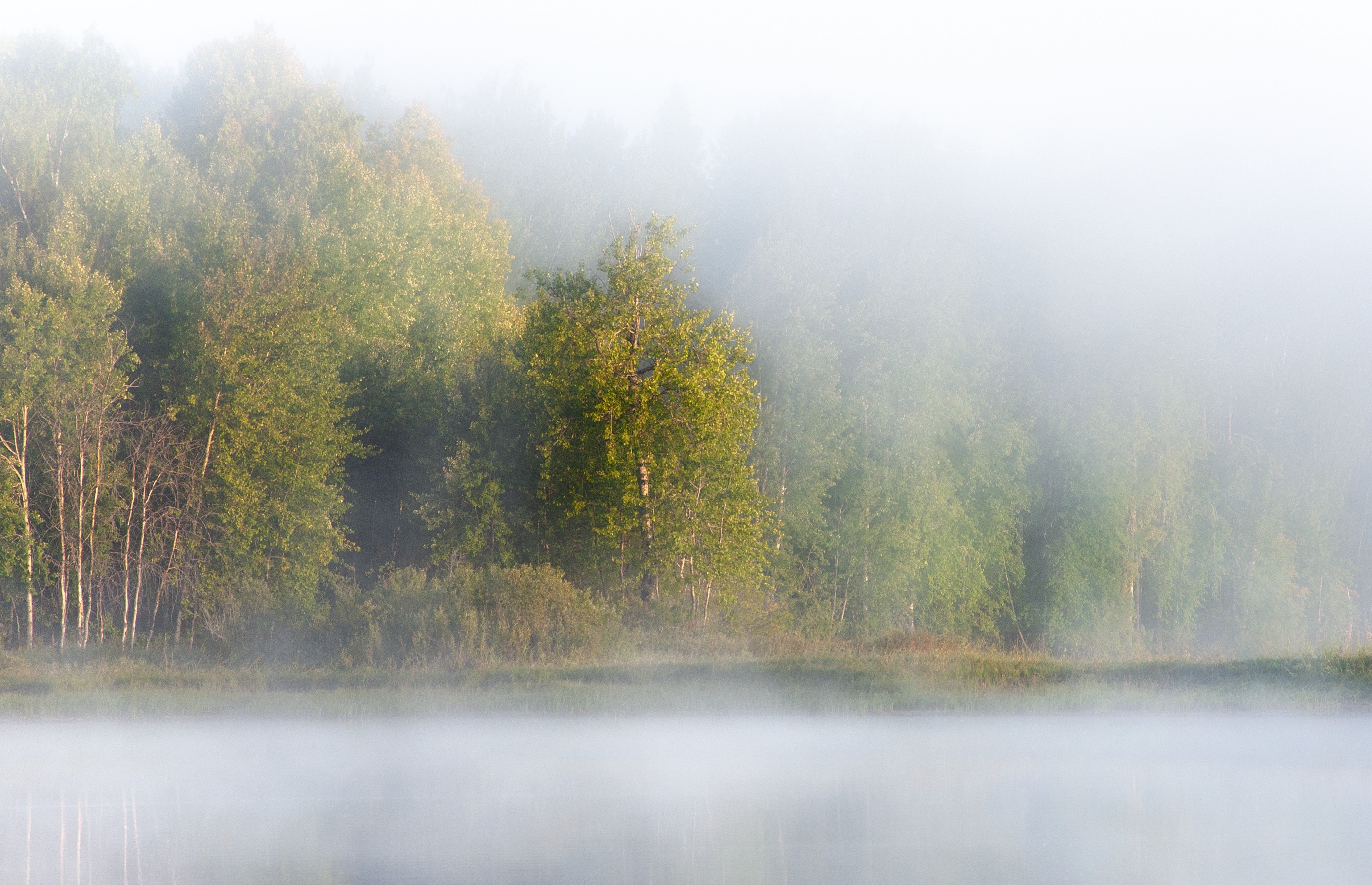 , Андрей Куликов