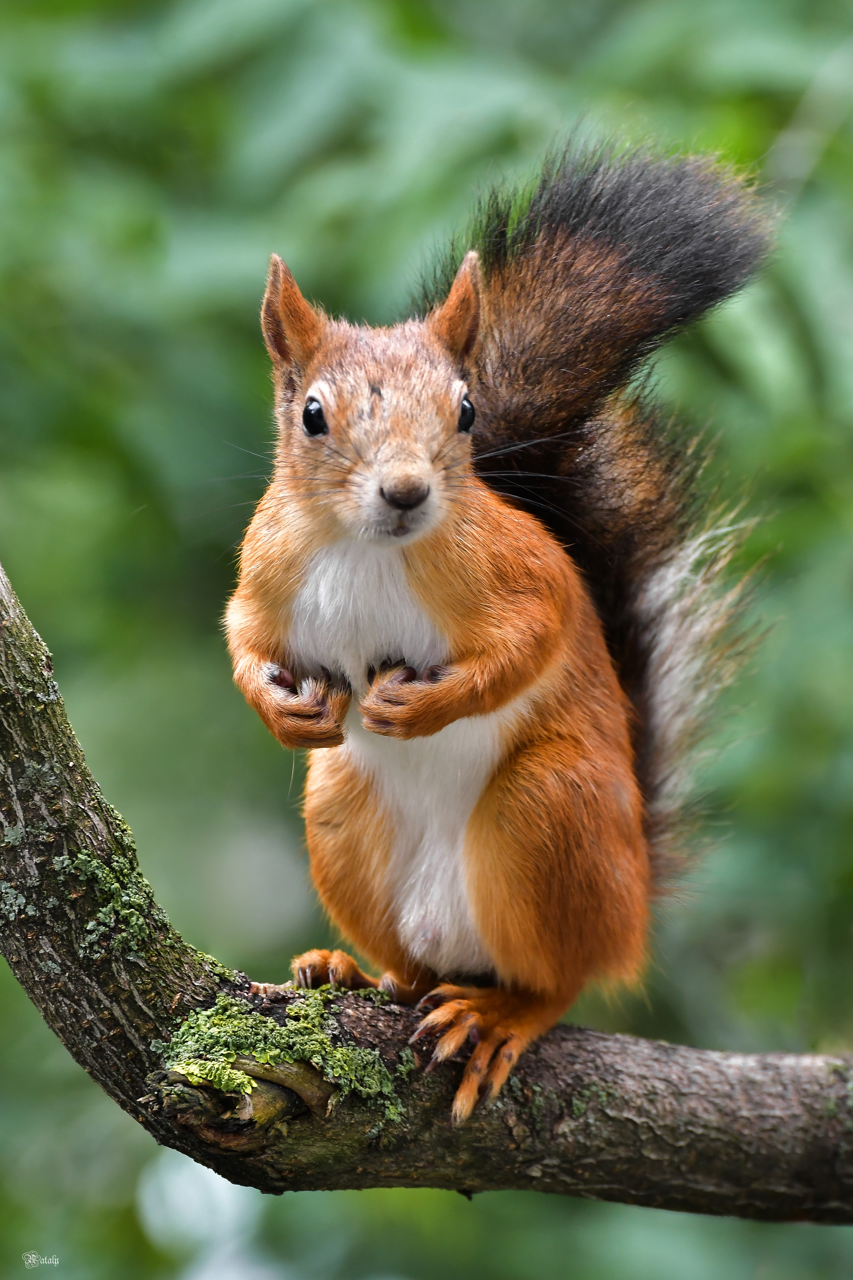 , Наталья Екимова