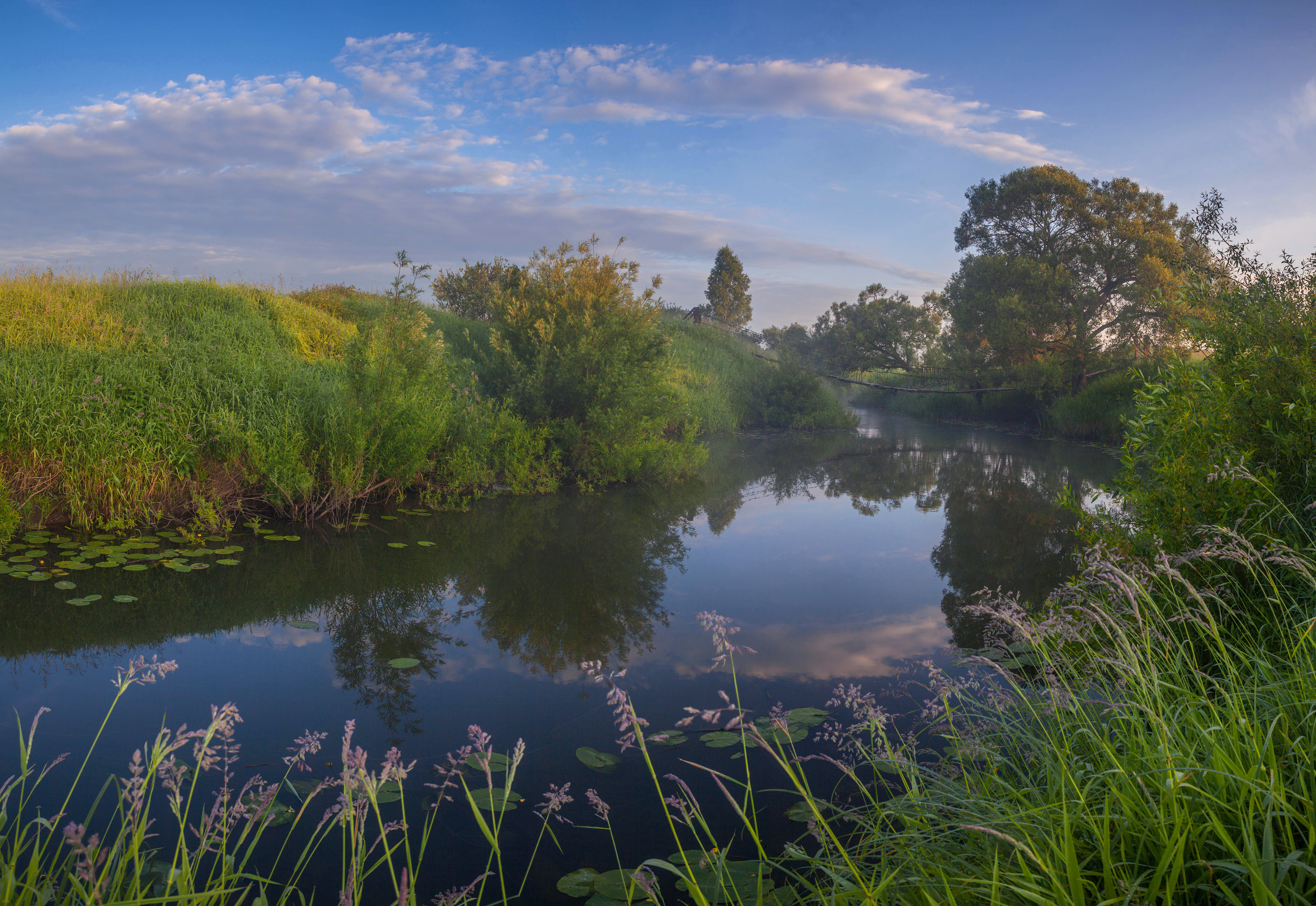 лето , река, мостик, Свистков Александр