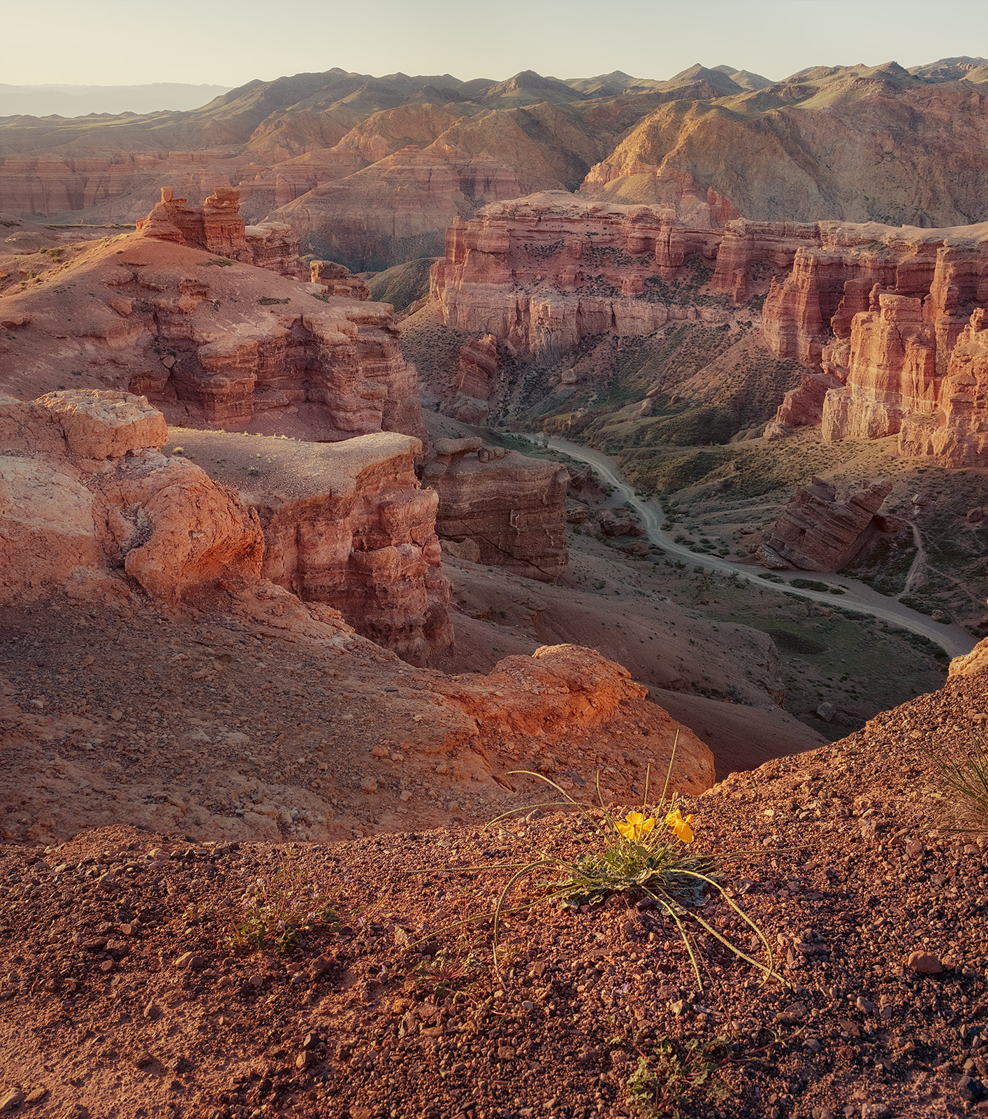 , Андрей Родионов