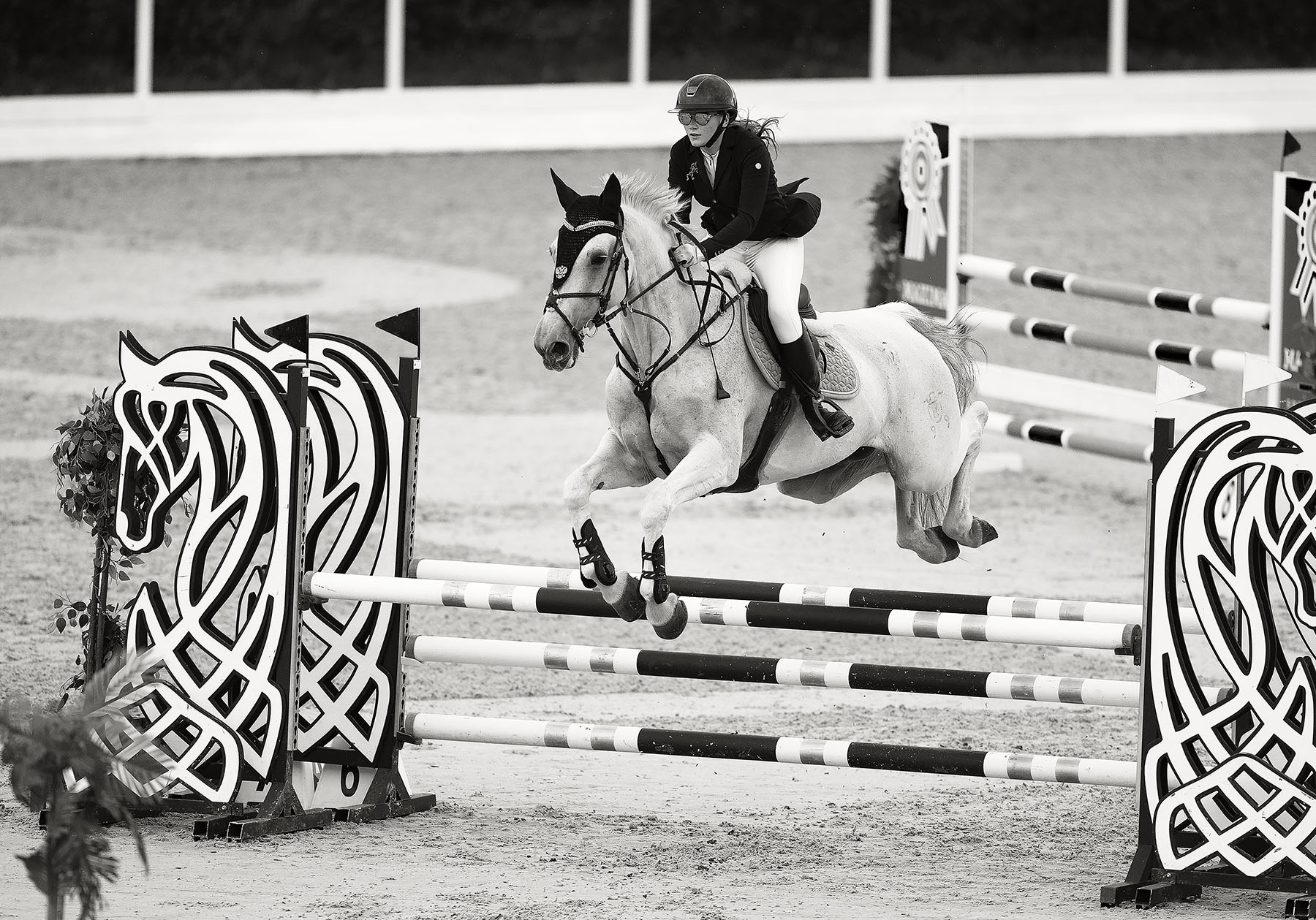 спорт, конкур, соревнования, репортаж, competition, horse, sport, jump, movement, Стукалова Юлия