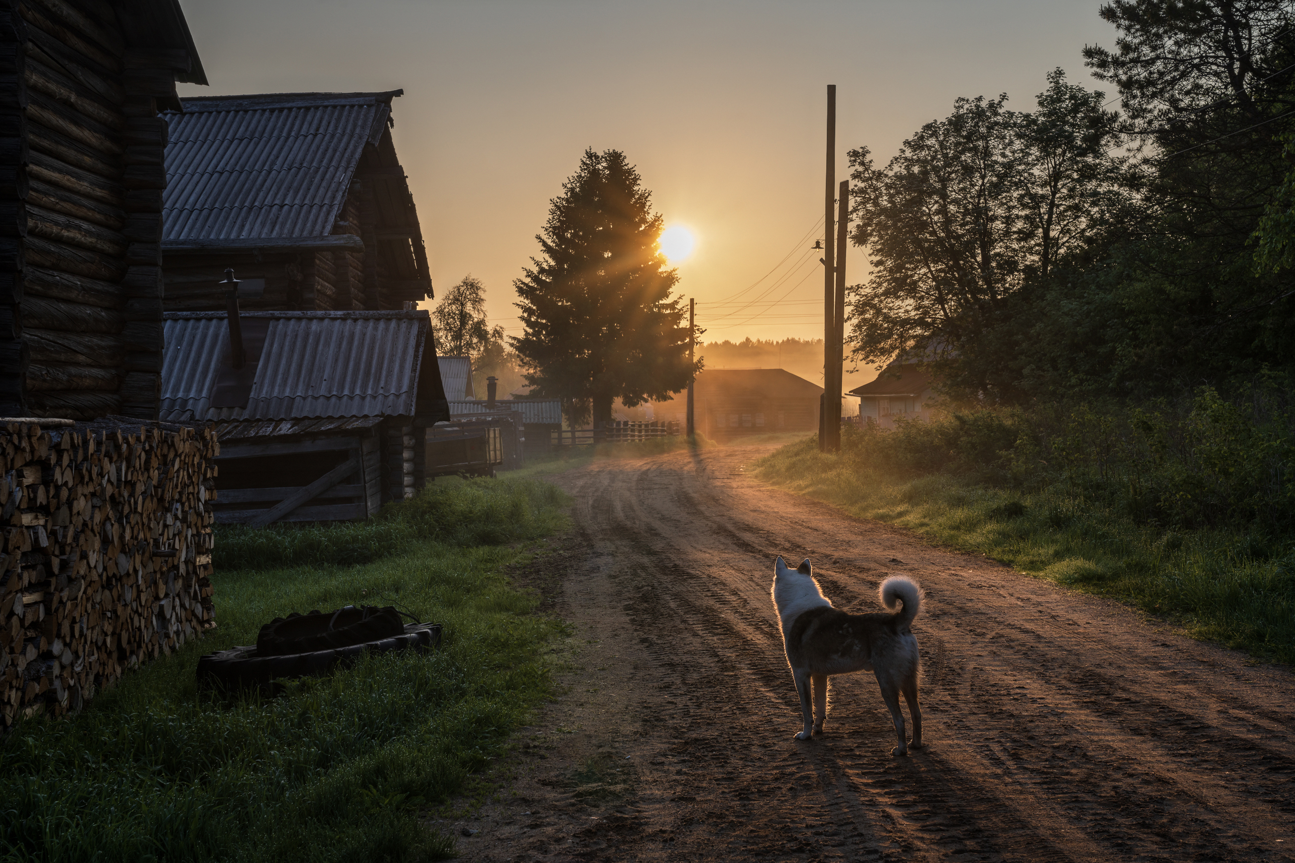кимжа, архангельская область, утро, восход, бублик, Олег Зверев