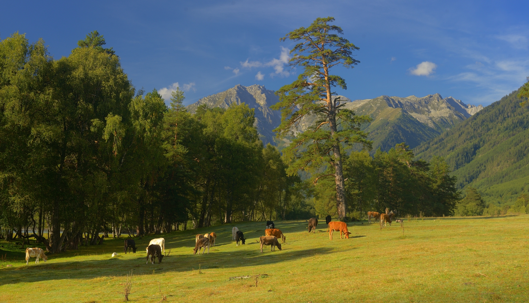 горы лето кавказ, Александр Жарников