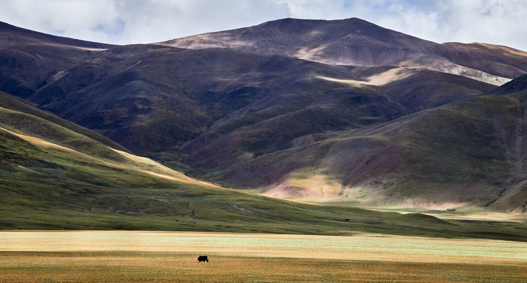 , Гиль Александр