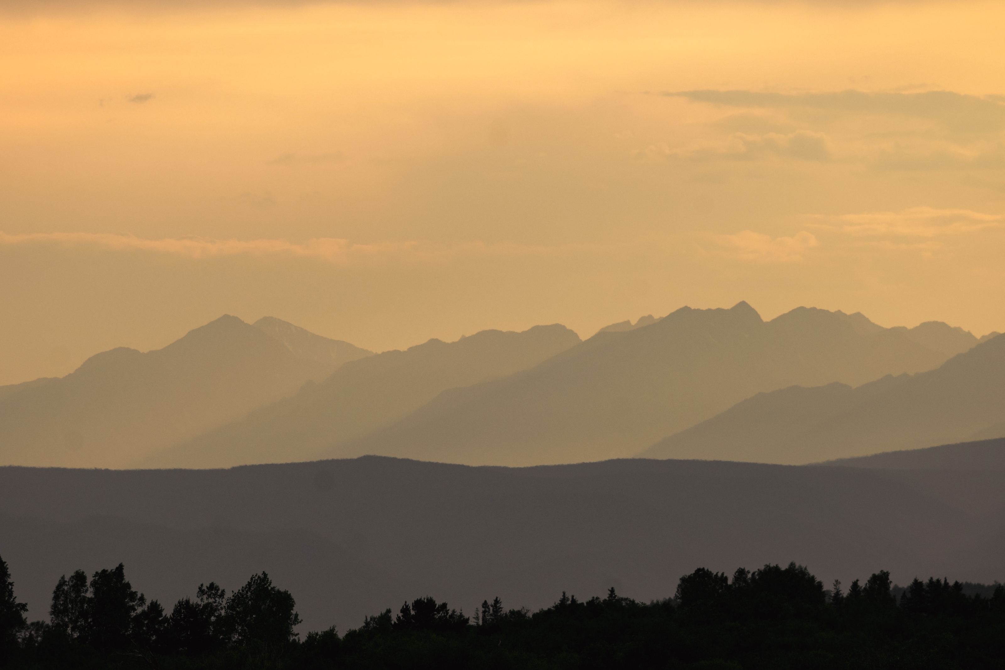 , Большаков Алексей