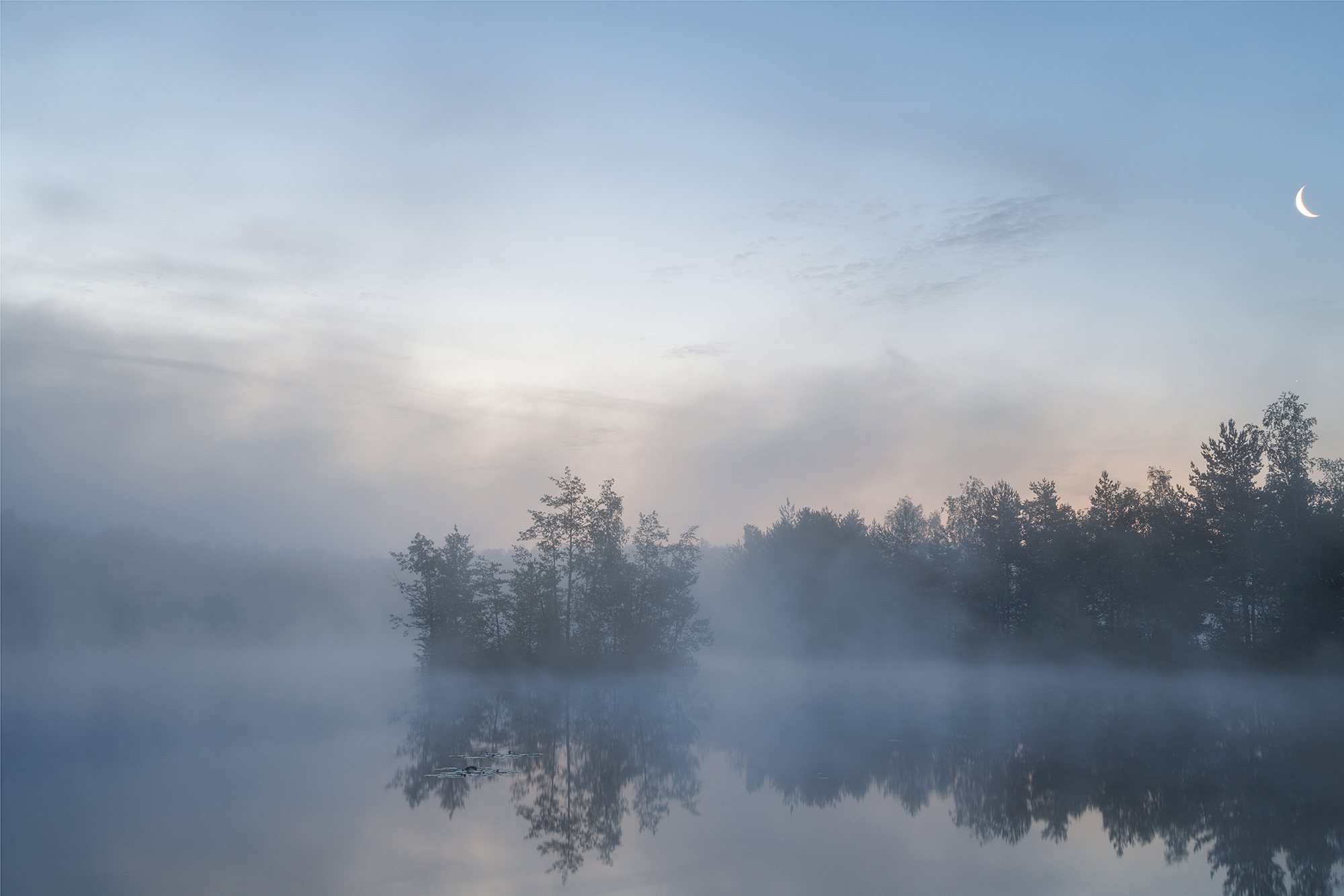 , Морозов Сергей