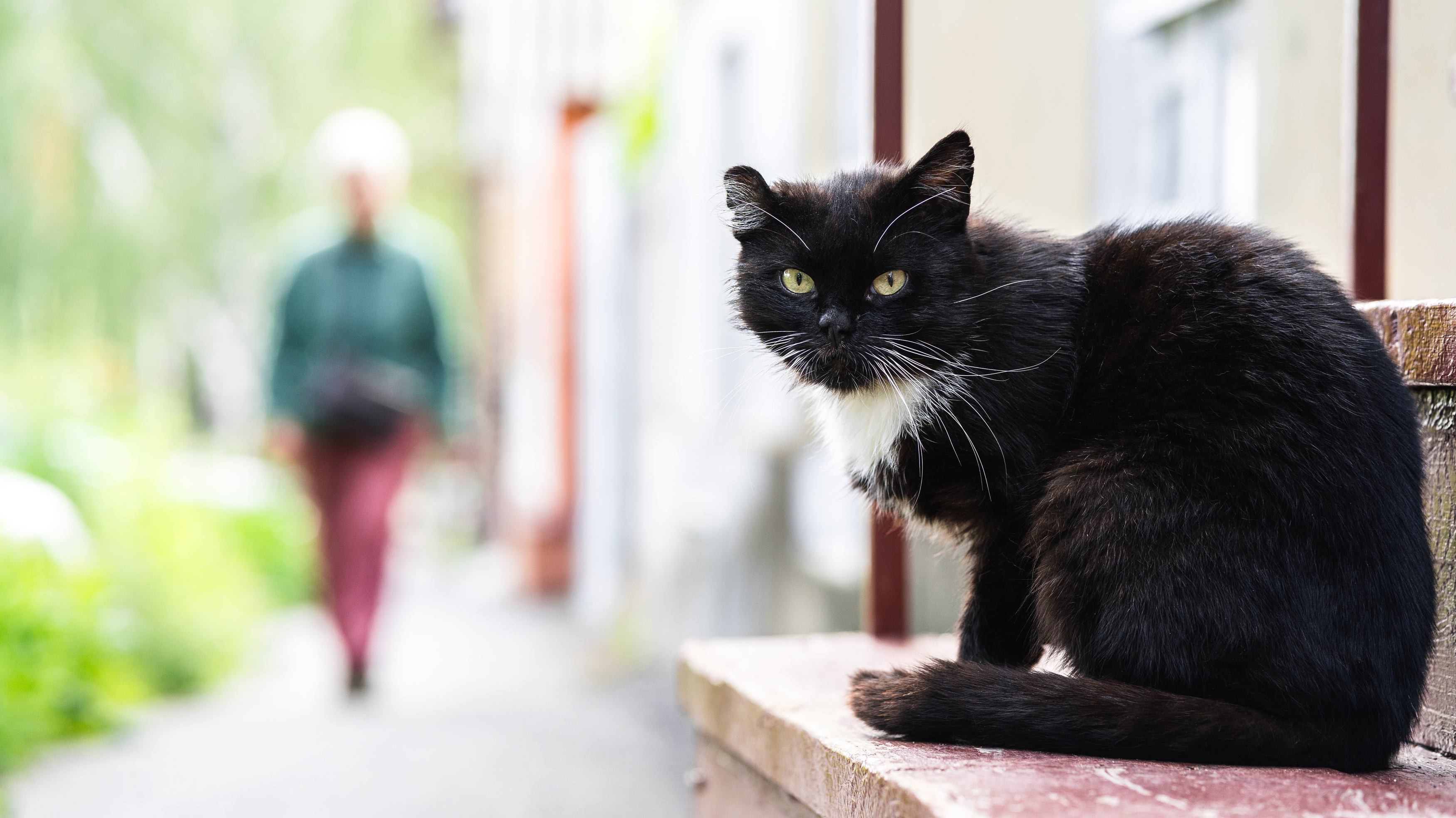 , Вертиков Юрий