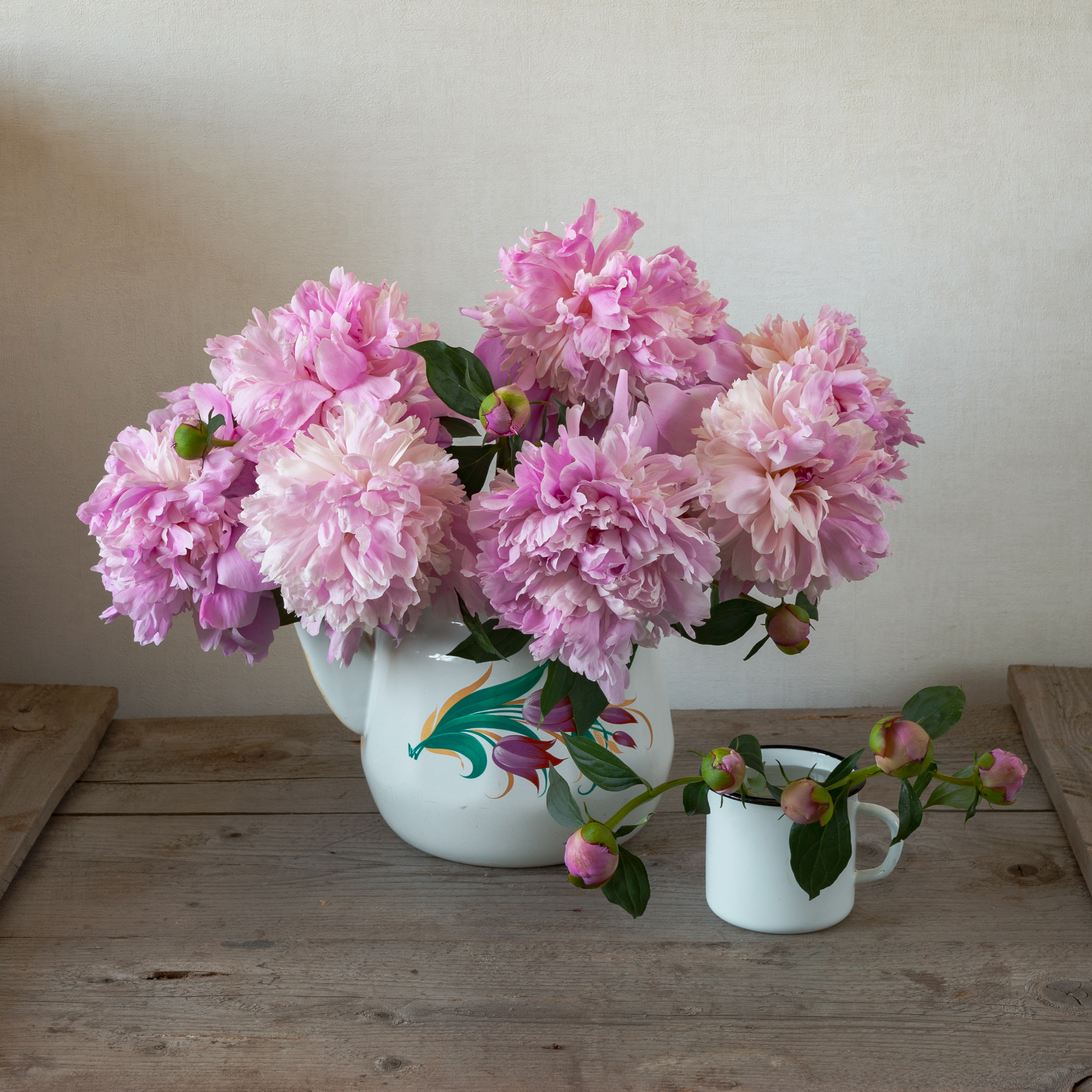 , Елена Павлюк