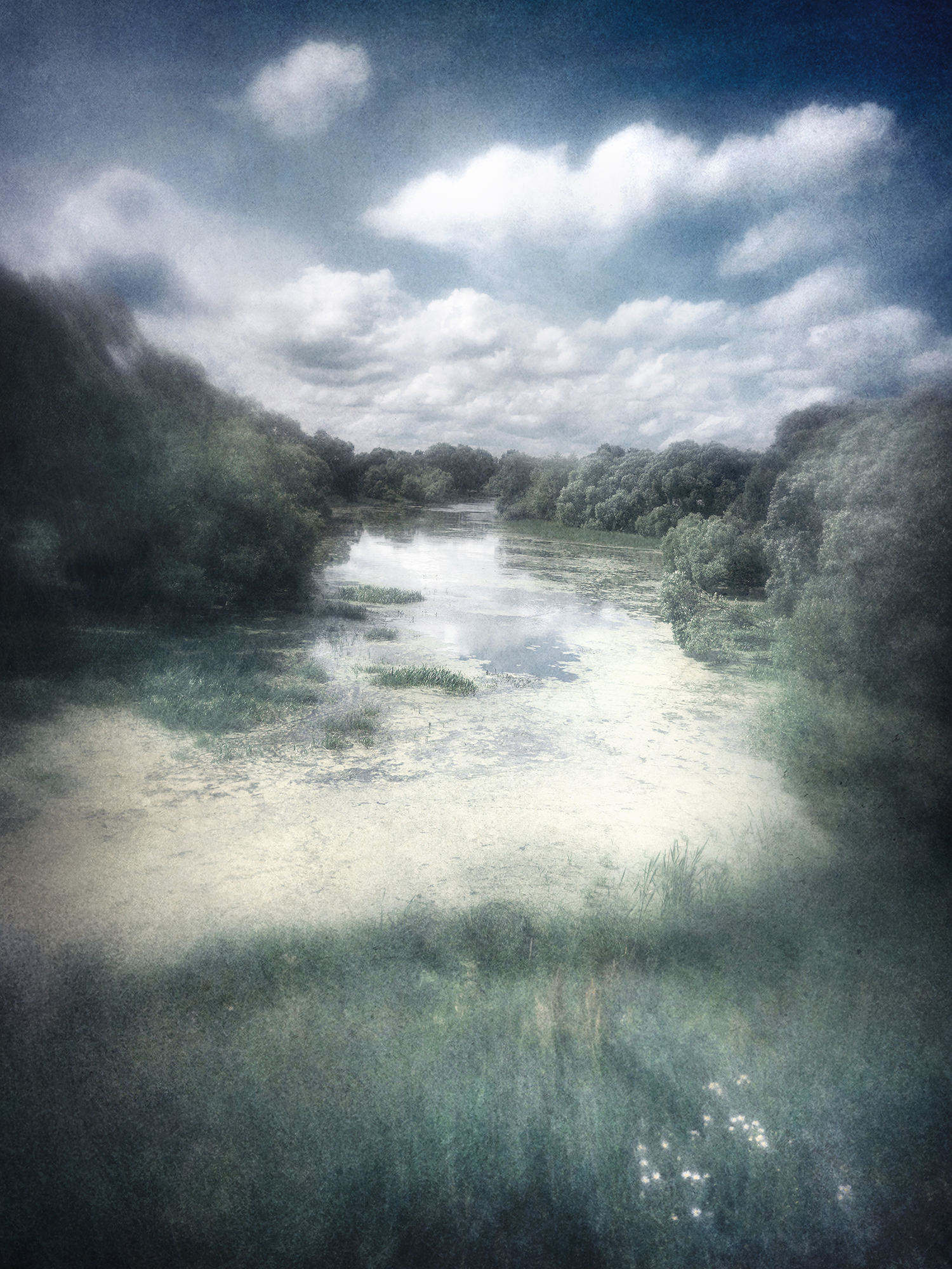 лето, река, пикториализм, Сергей Кот