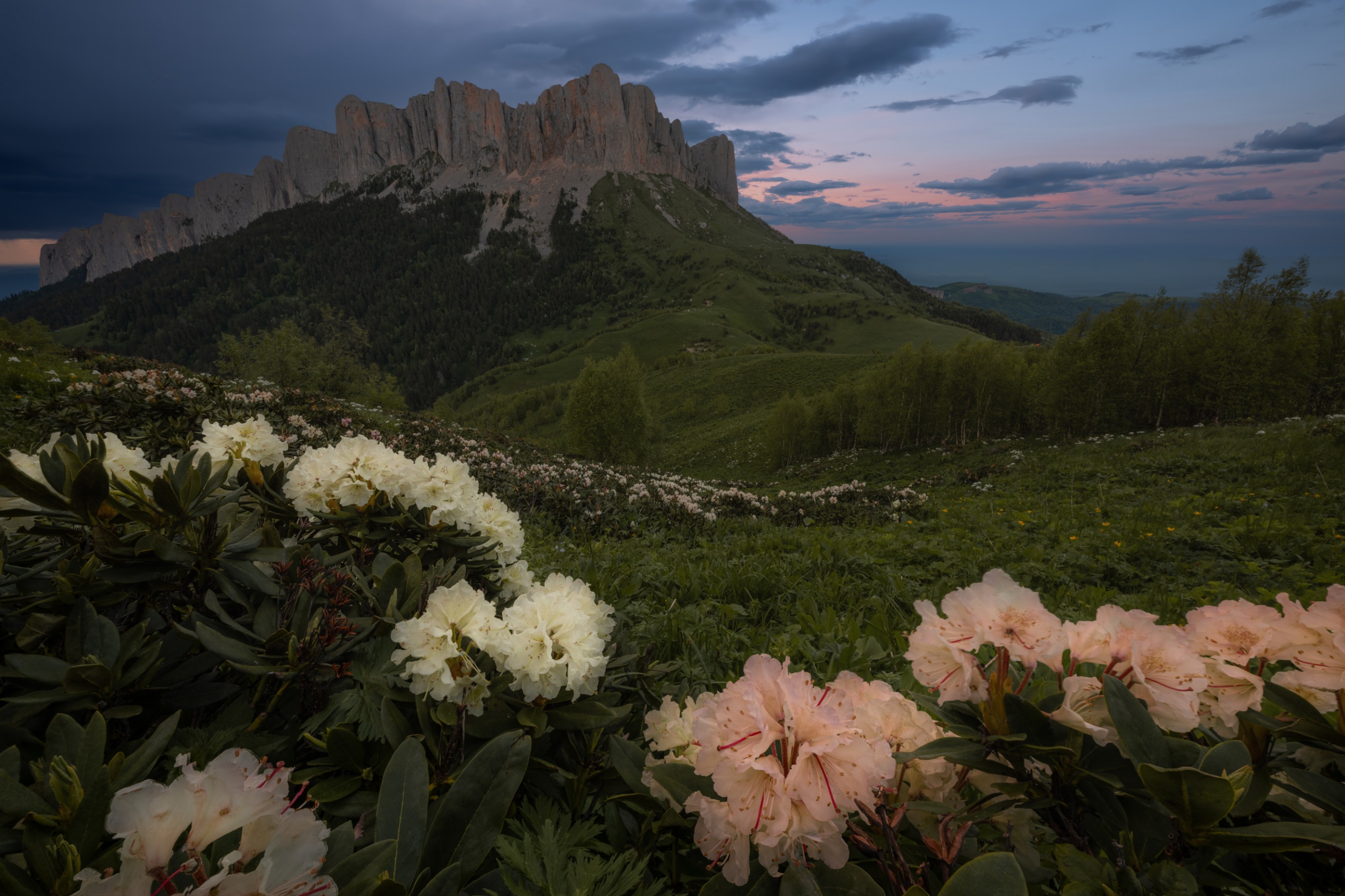 , Ширгин Сергей