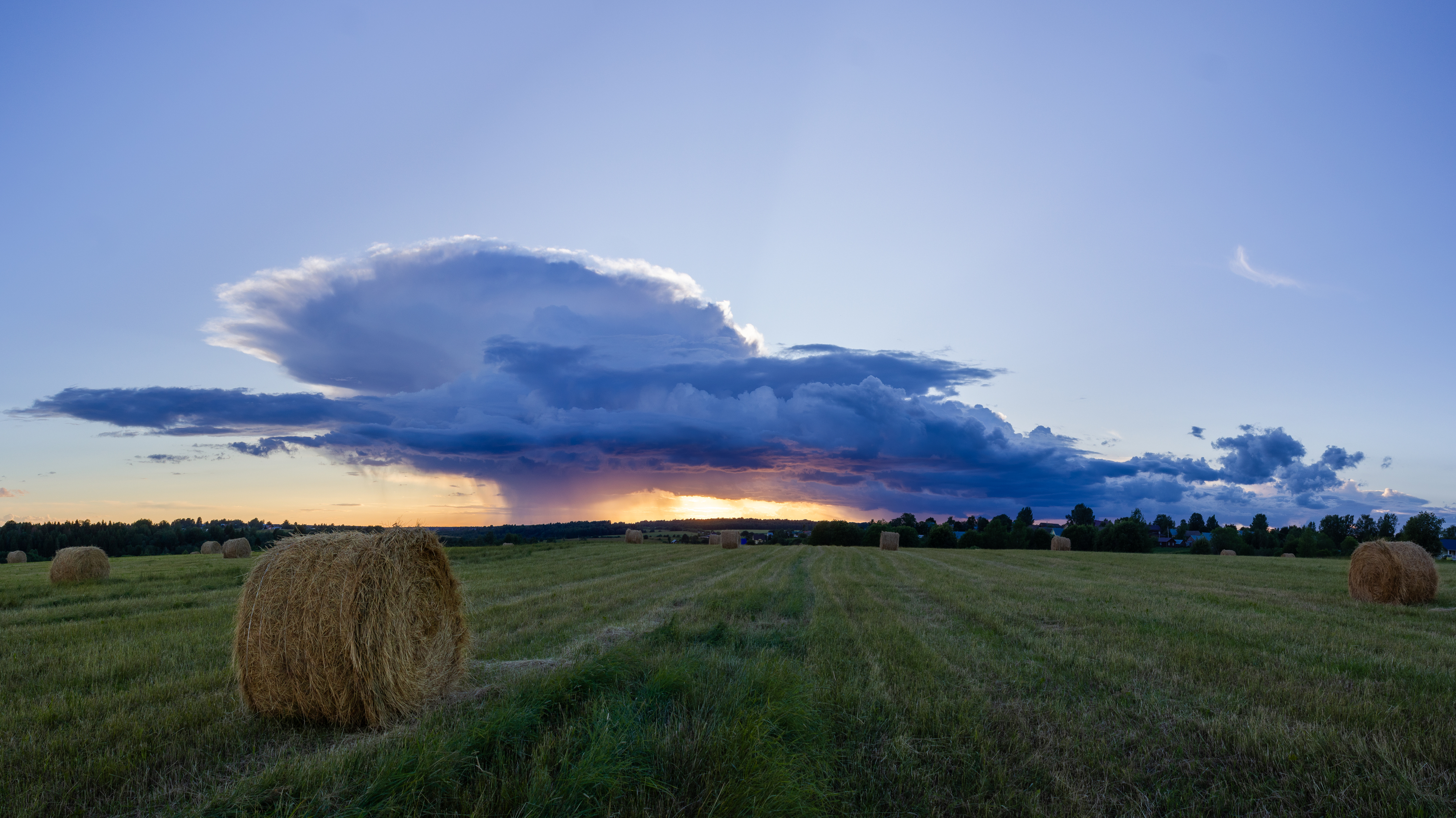 , Комарова Вера