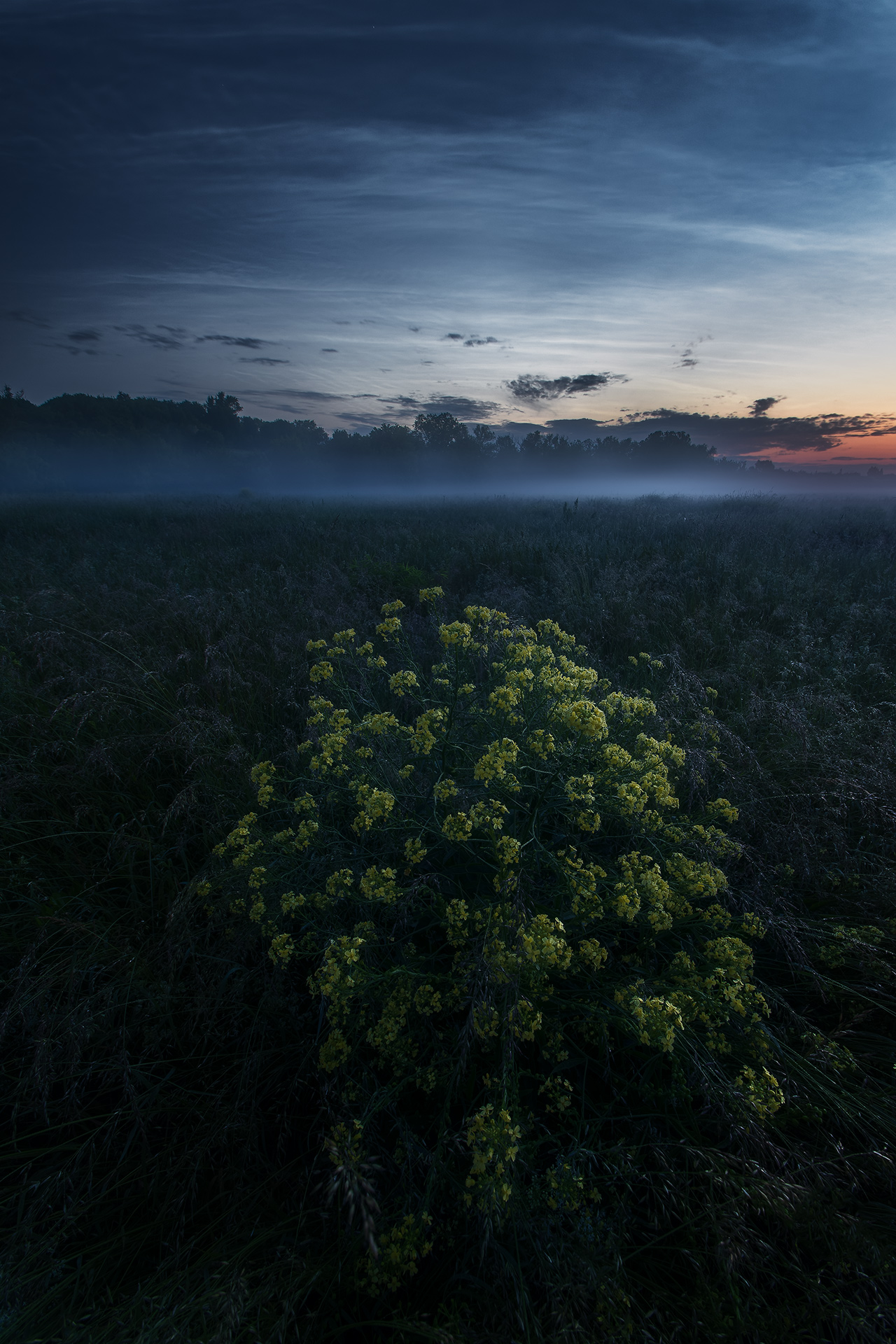 , Павел Жирнов