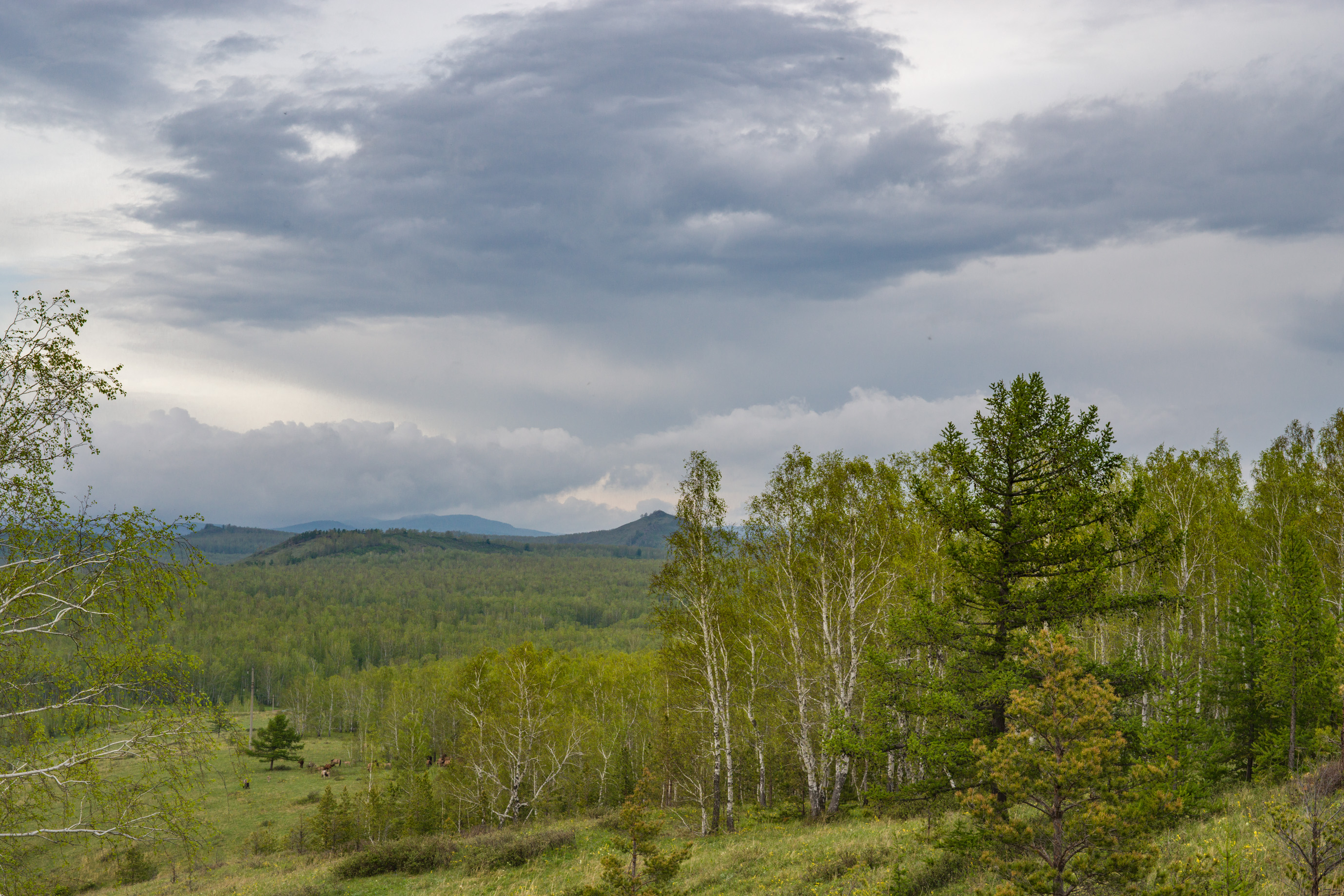 , Шустиков Дмитрий
