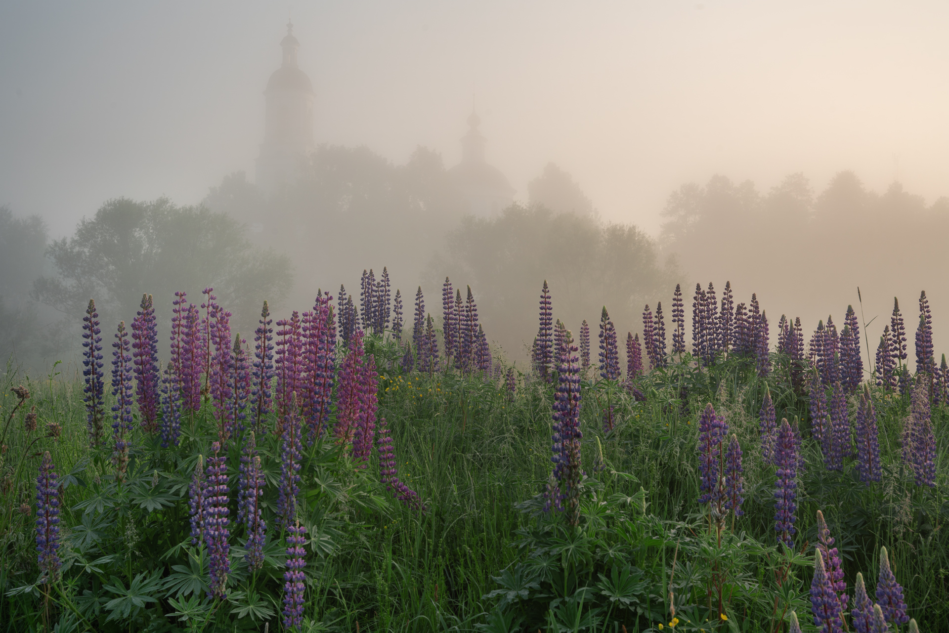 золотое кольцо, русский, деревня, старина, история, россия, Нерозя Александр