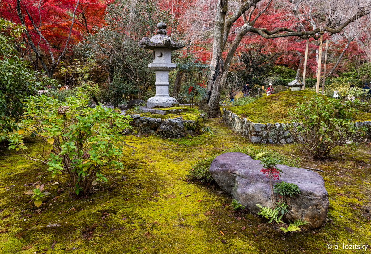 , Лозицкий Александр