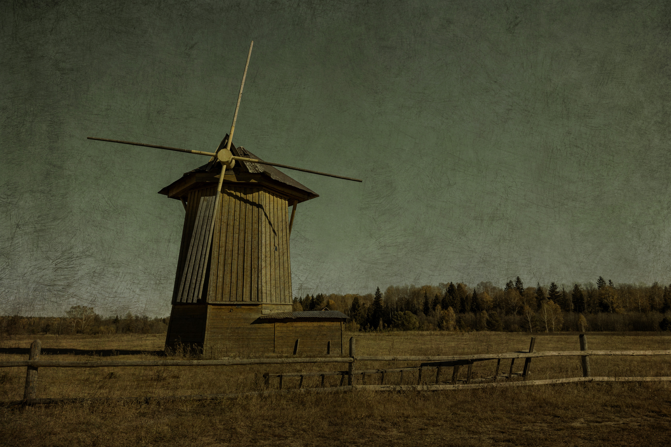 , Сагдиева Эльвира