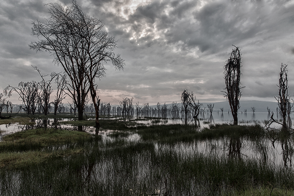 , Vorobeychik Vladimir