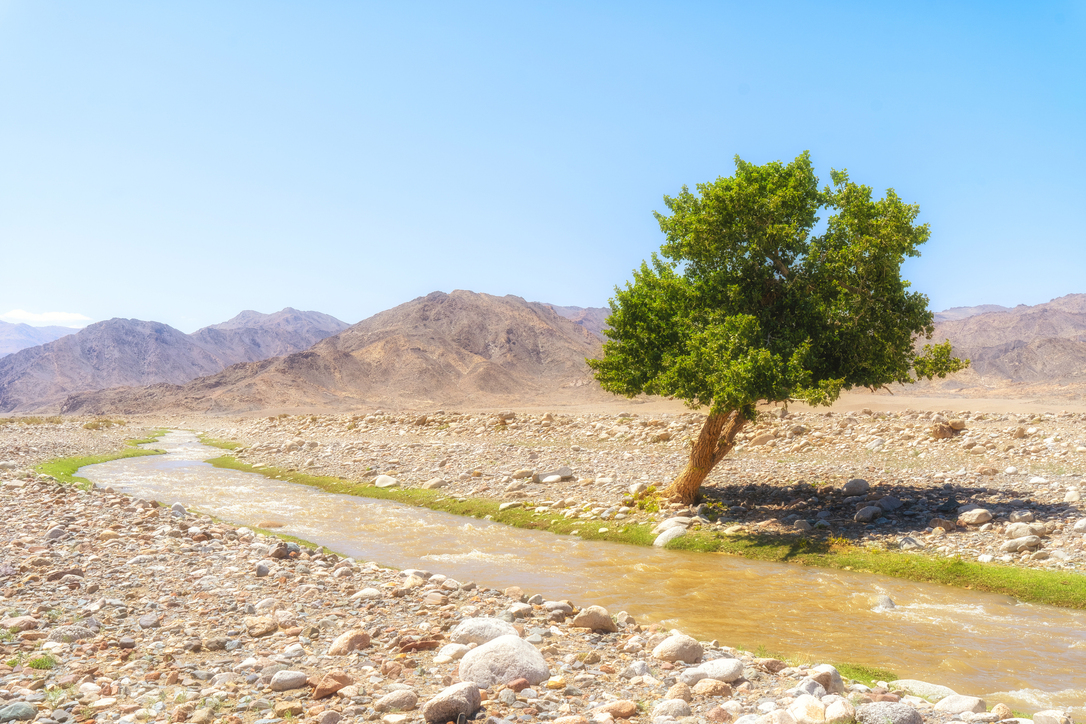 , Нигматуллин Руслан