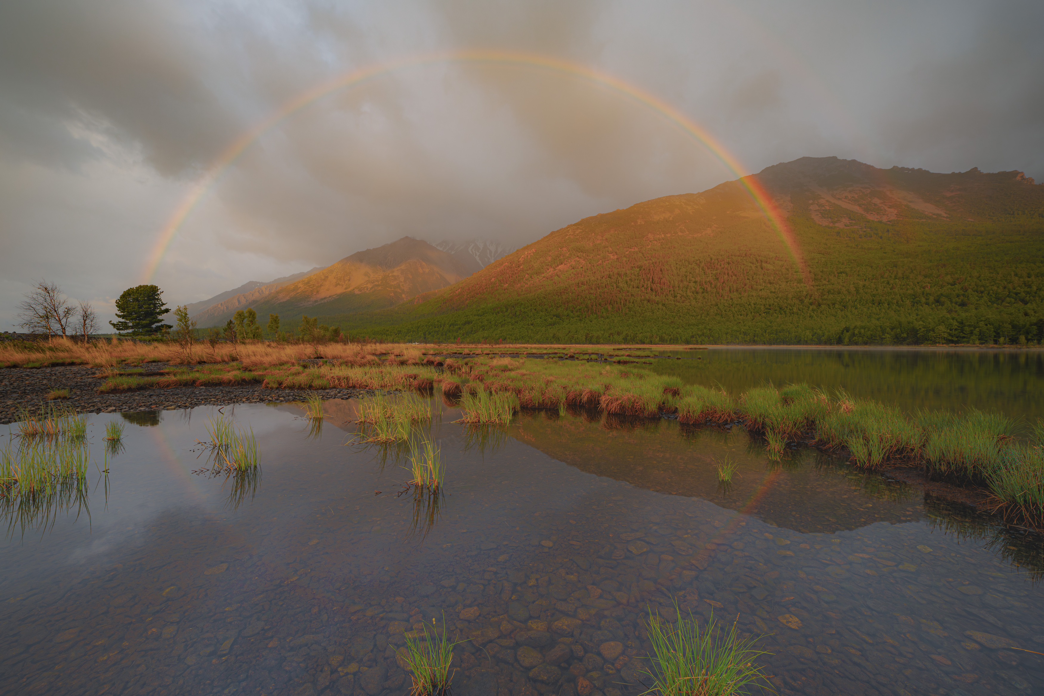 , Лаврентьев Александр