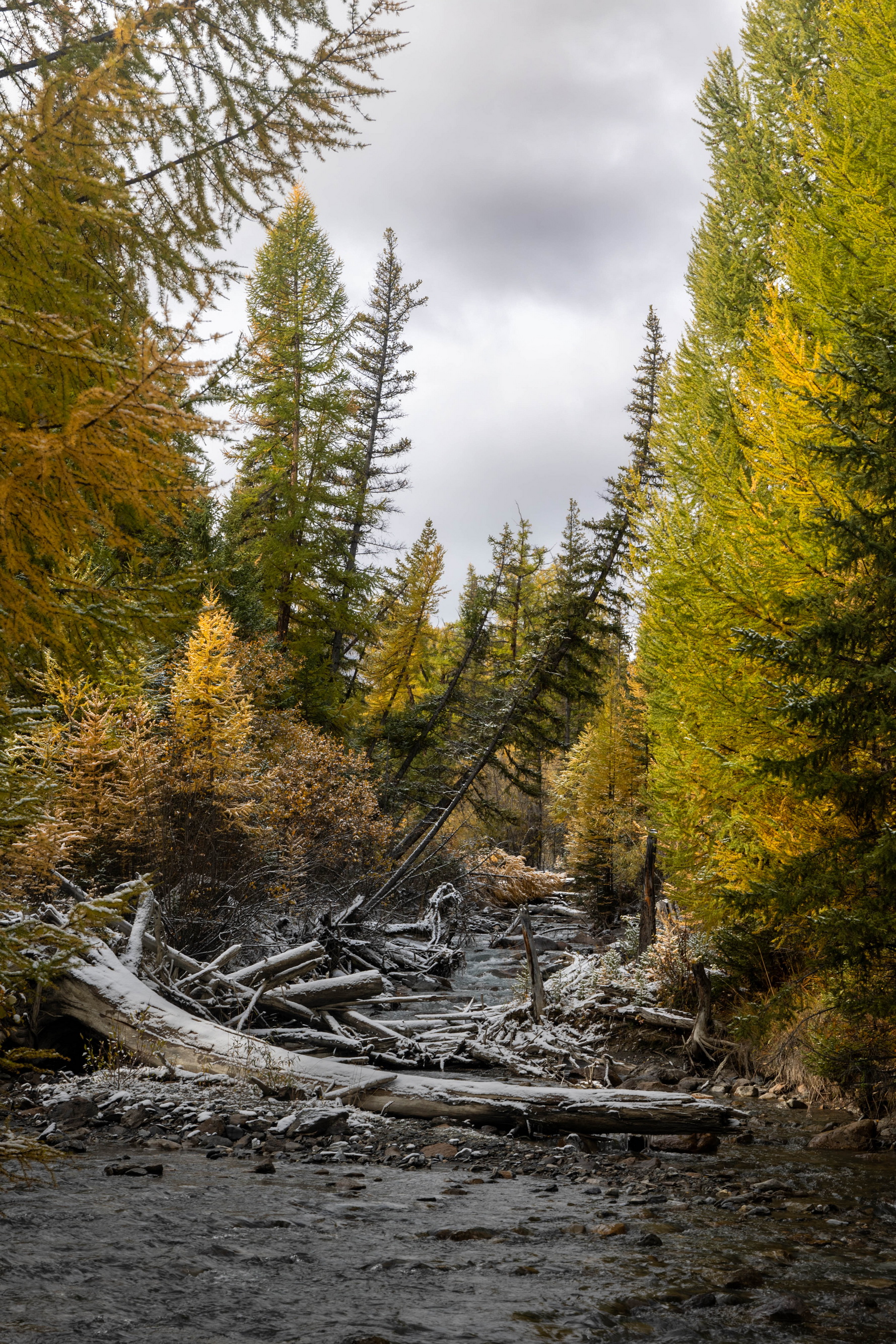 autumn, fall, river, russia, россия, Mikhail Konarev