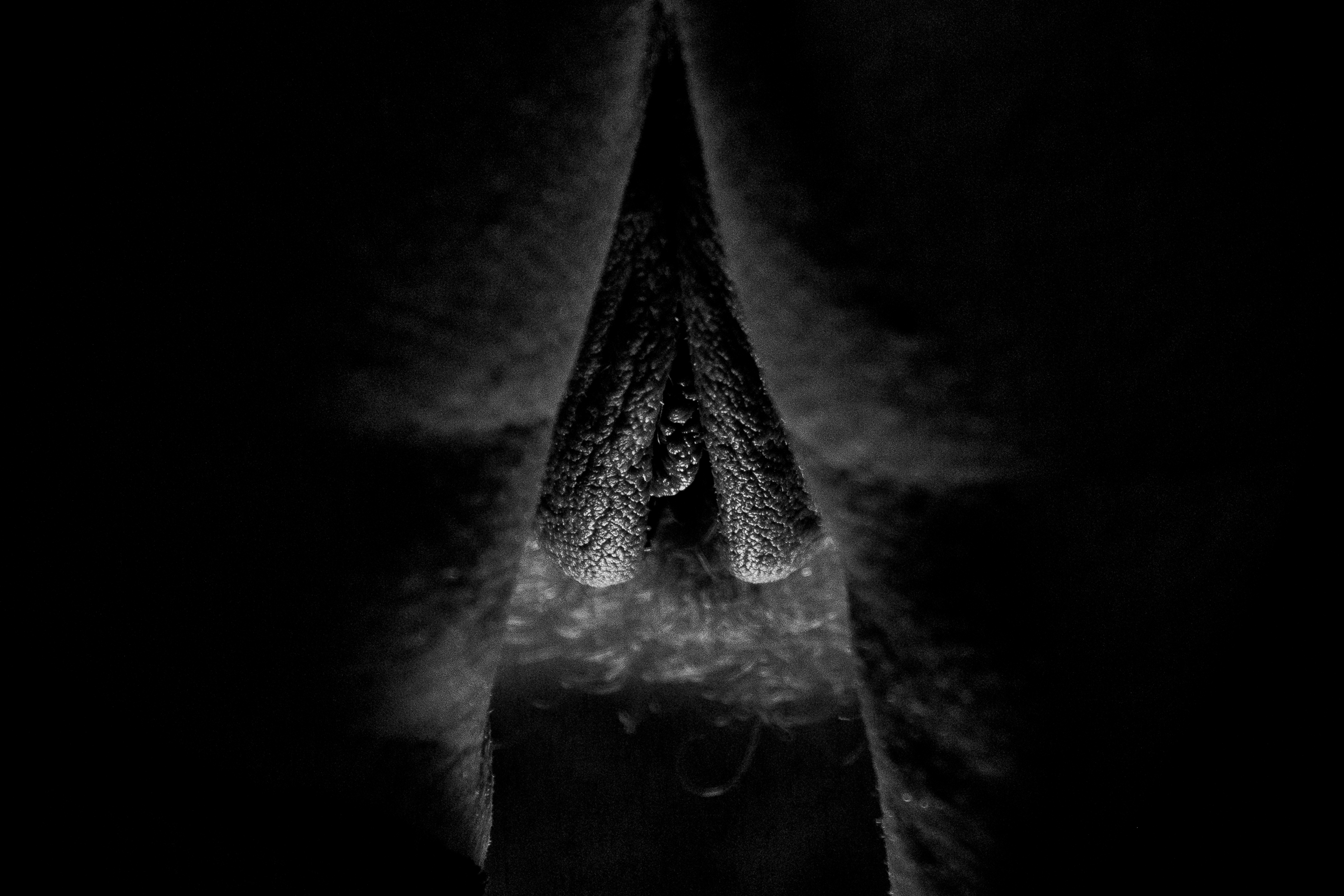 , Стеценко Александр