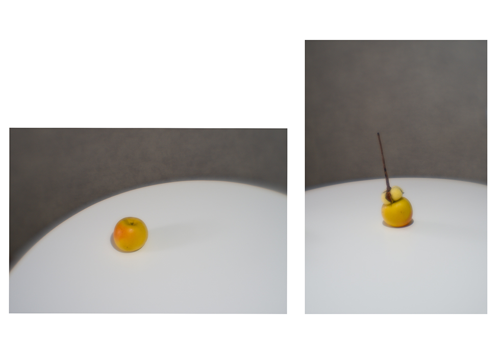 , Таня Смолевская