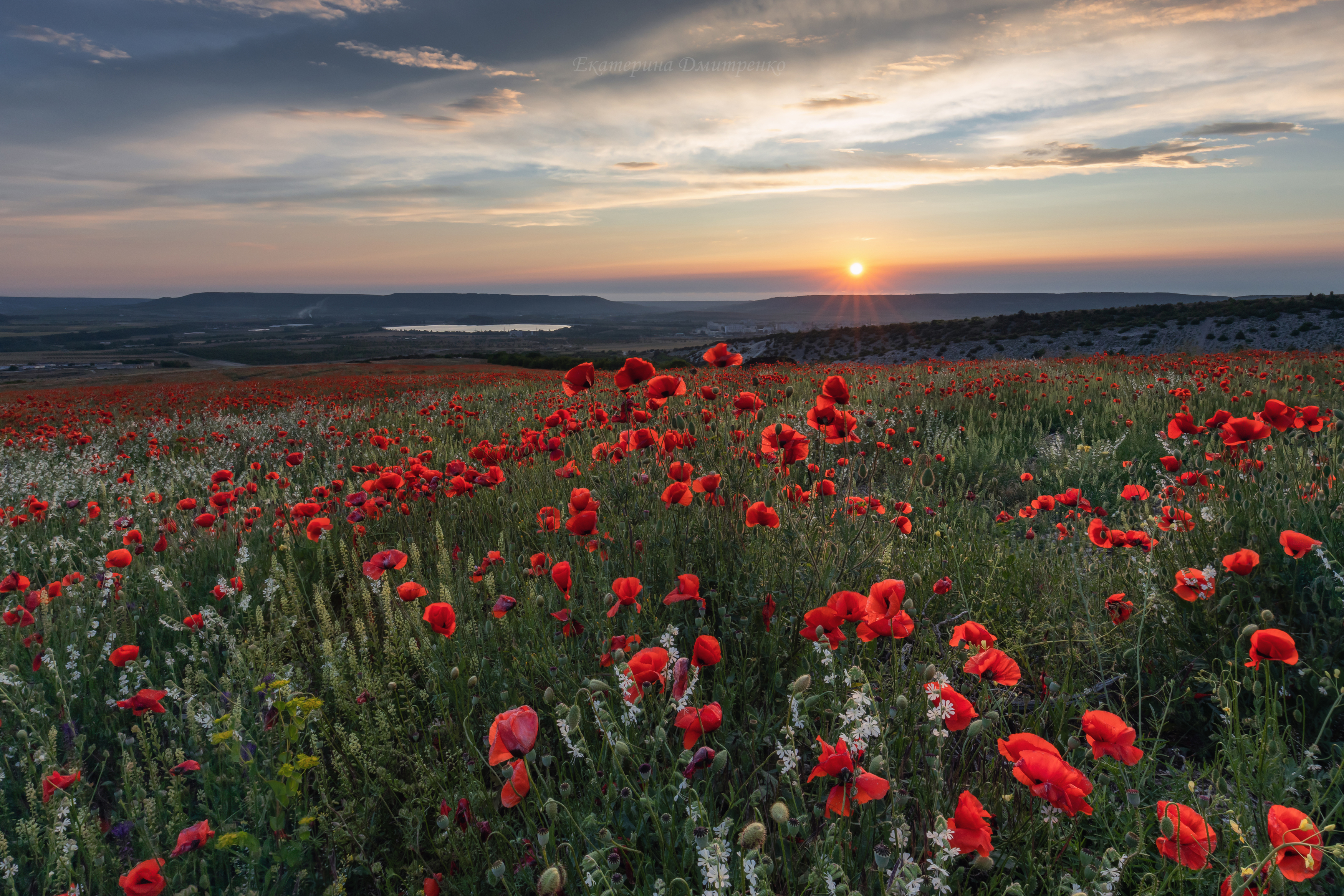 крым, цветы, маковое поле, маки, пейзаж, закат, бахчисарай, лето, Дмитренко Екатерина