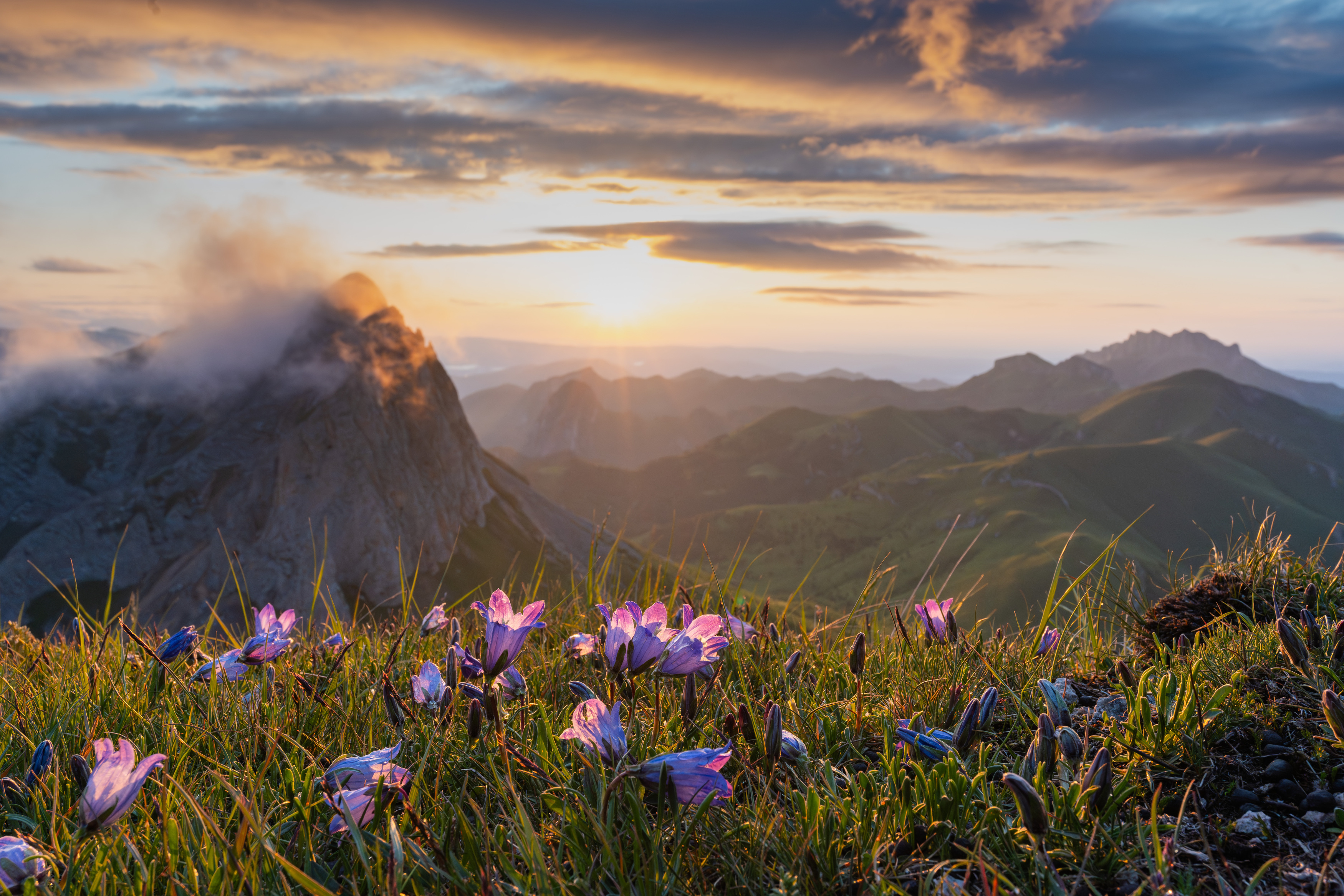 ачешбоки, чертовы ворота, адыгея, большой тхач, кавказ, горы, вечер, закат, цветы, Шишкалов Константин