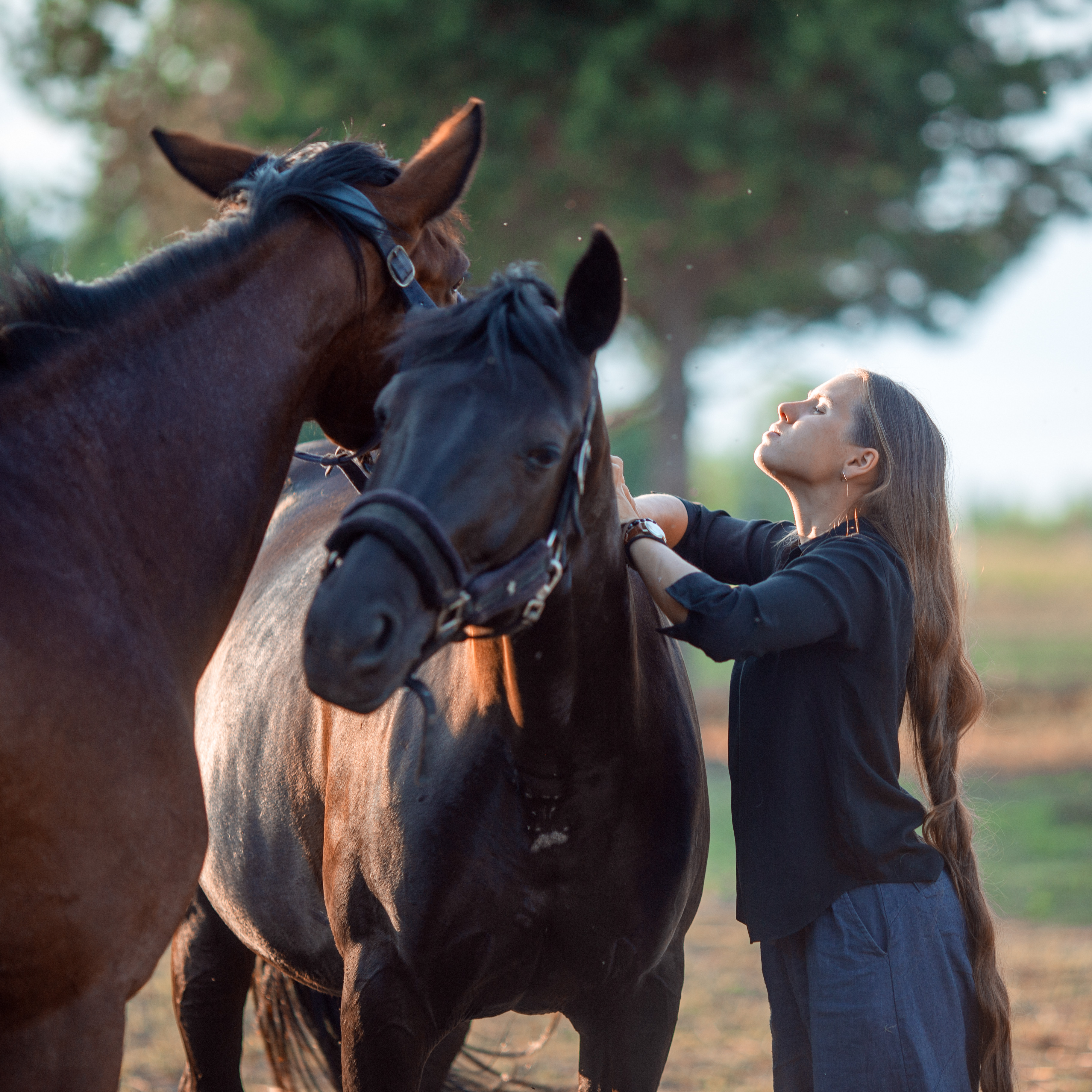 , Дмитрий Плеханов