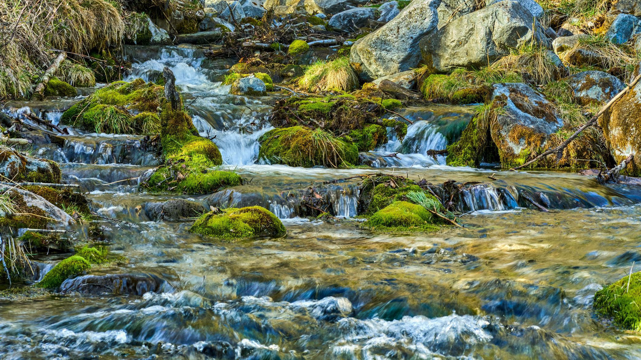 , Низовцев Сергей