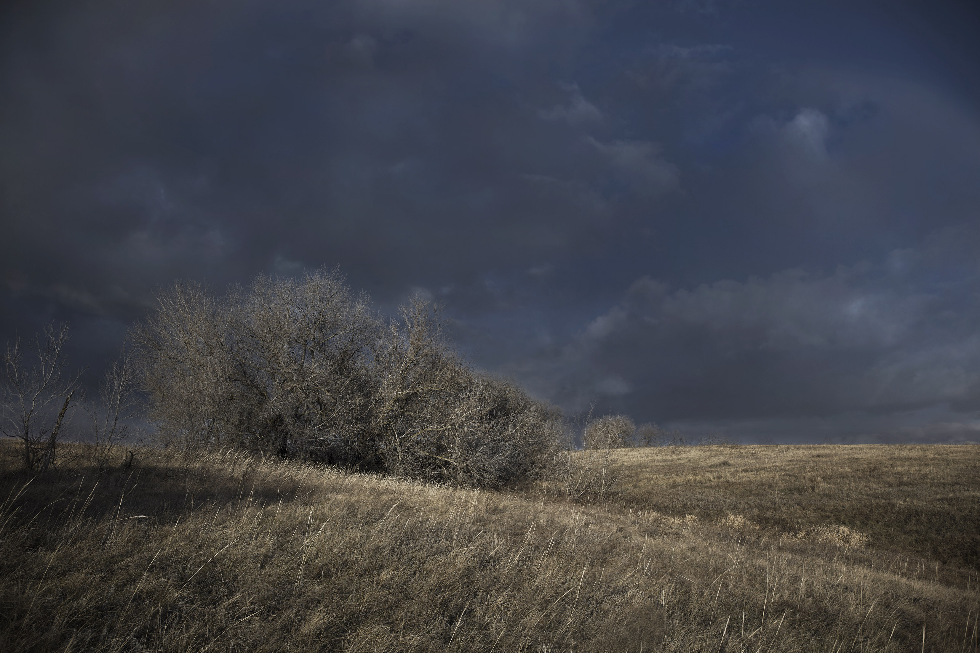 весна степь, Виктор Кириллов