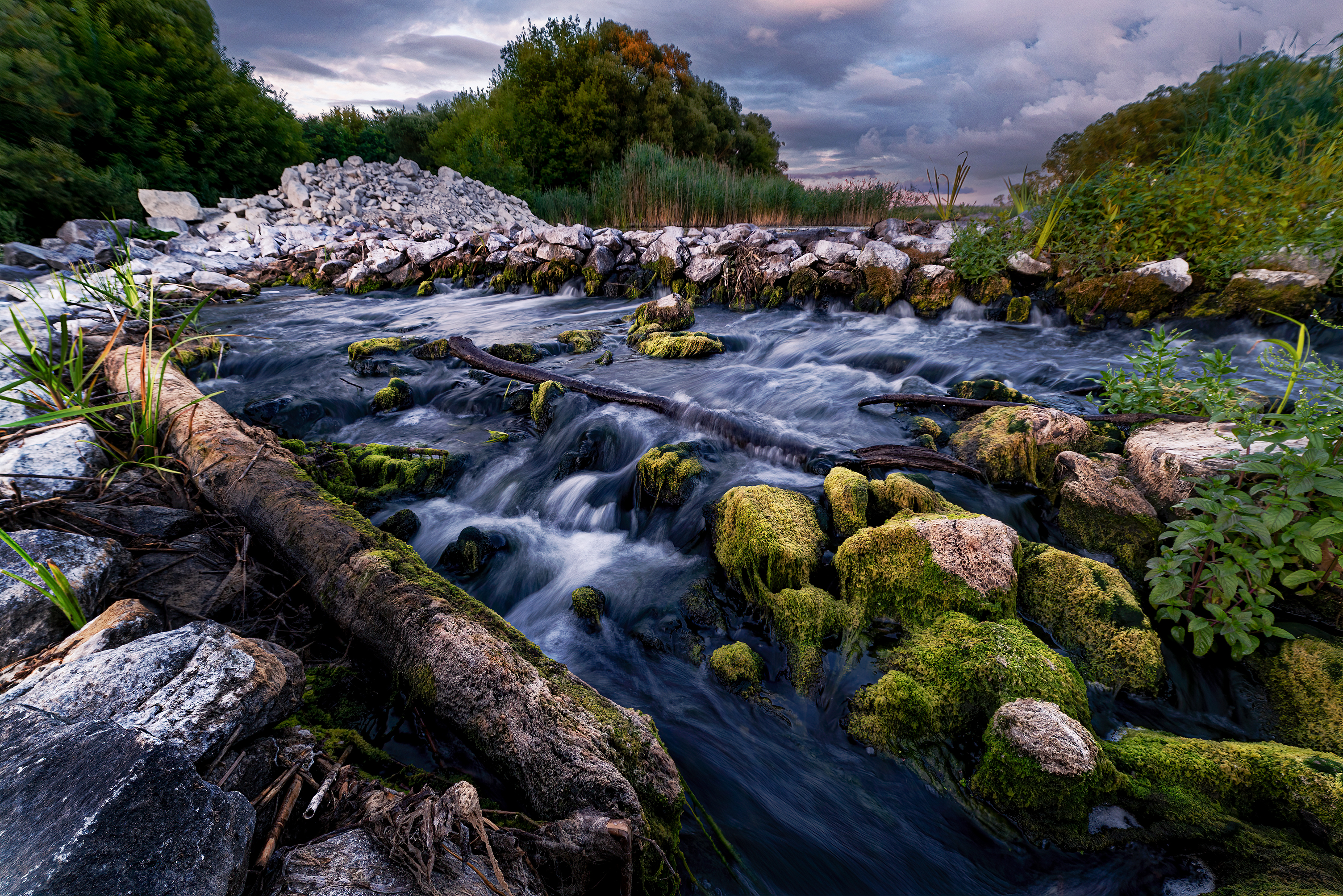 , Павел Абакумов