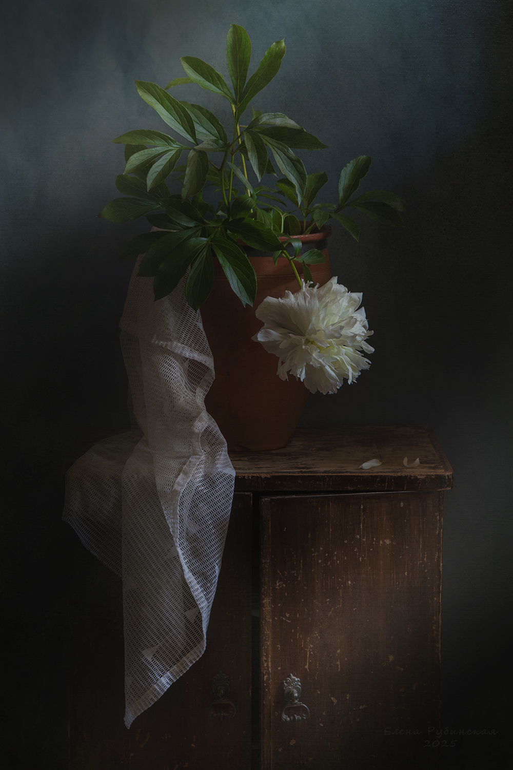 , Елена Рубинская