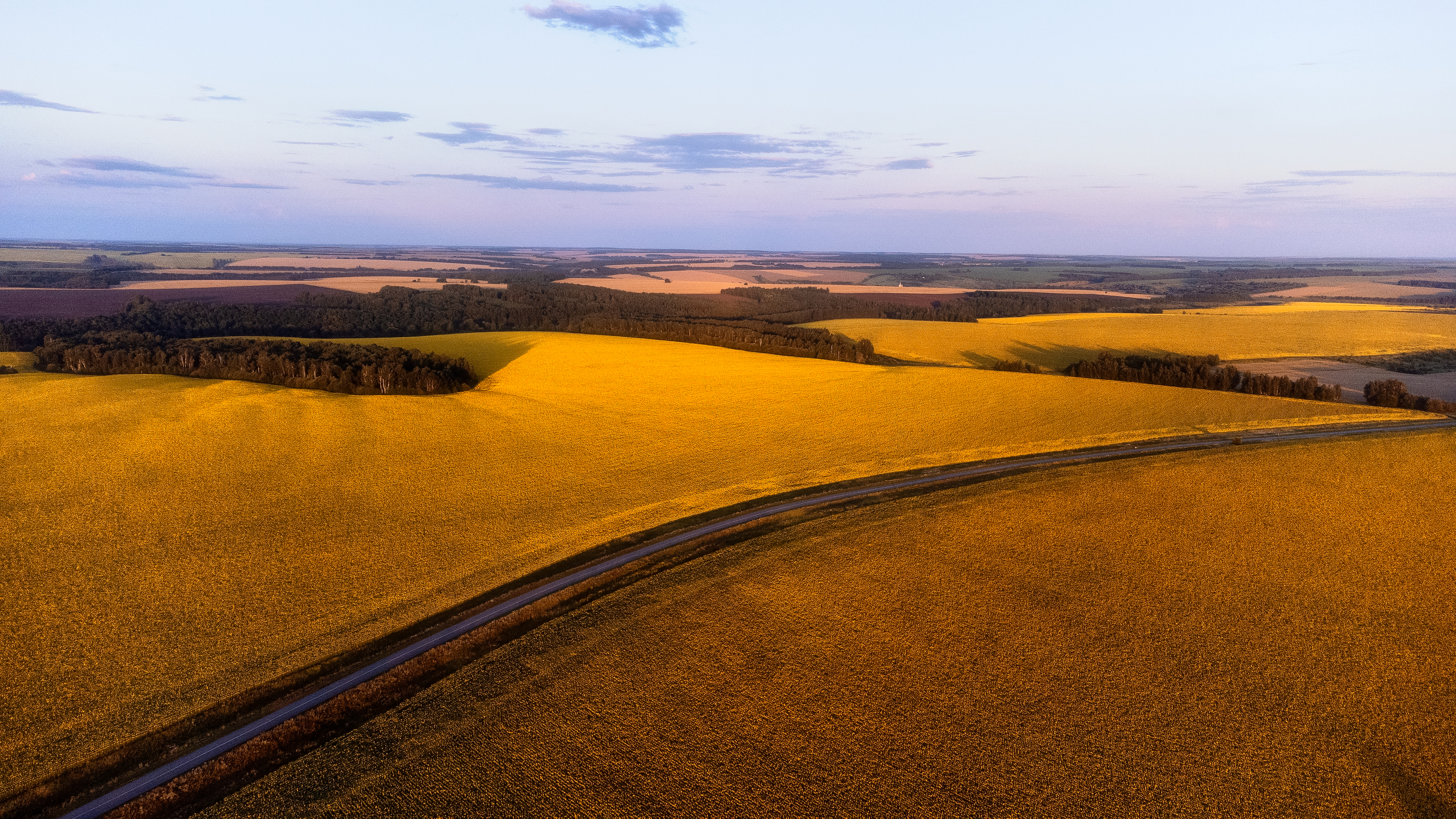природа, подсолнухи, dji, пейзаж, пейзажная фотография , Мартыненко Дмитрий
