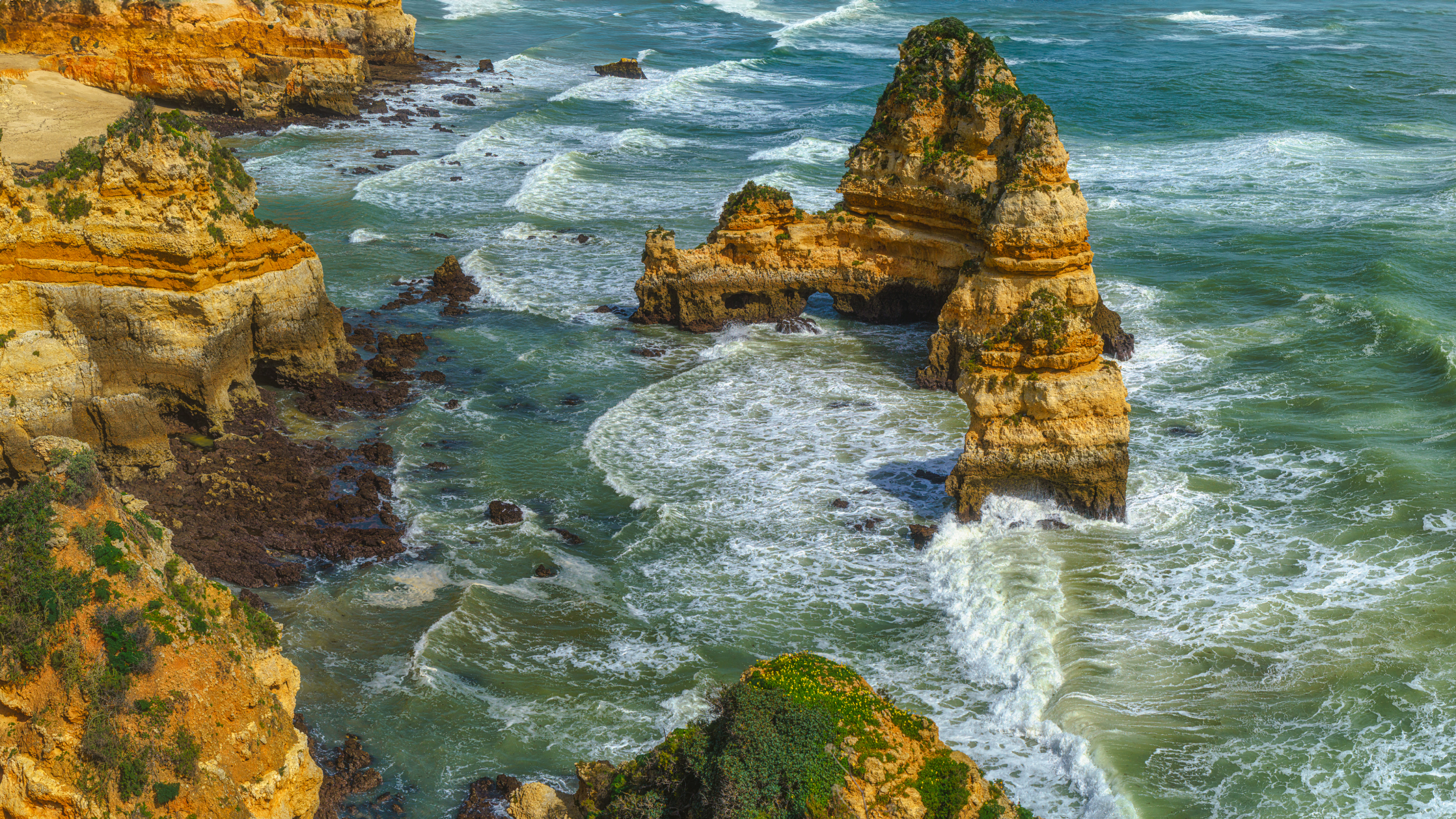 , Шварцман Евгений